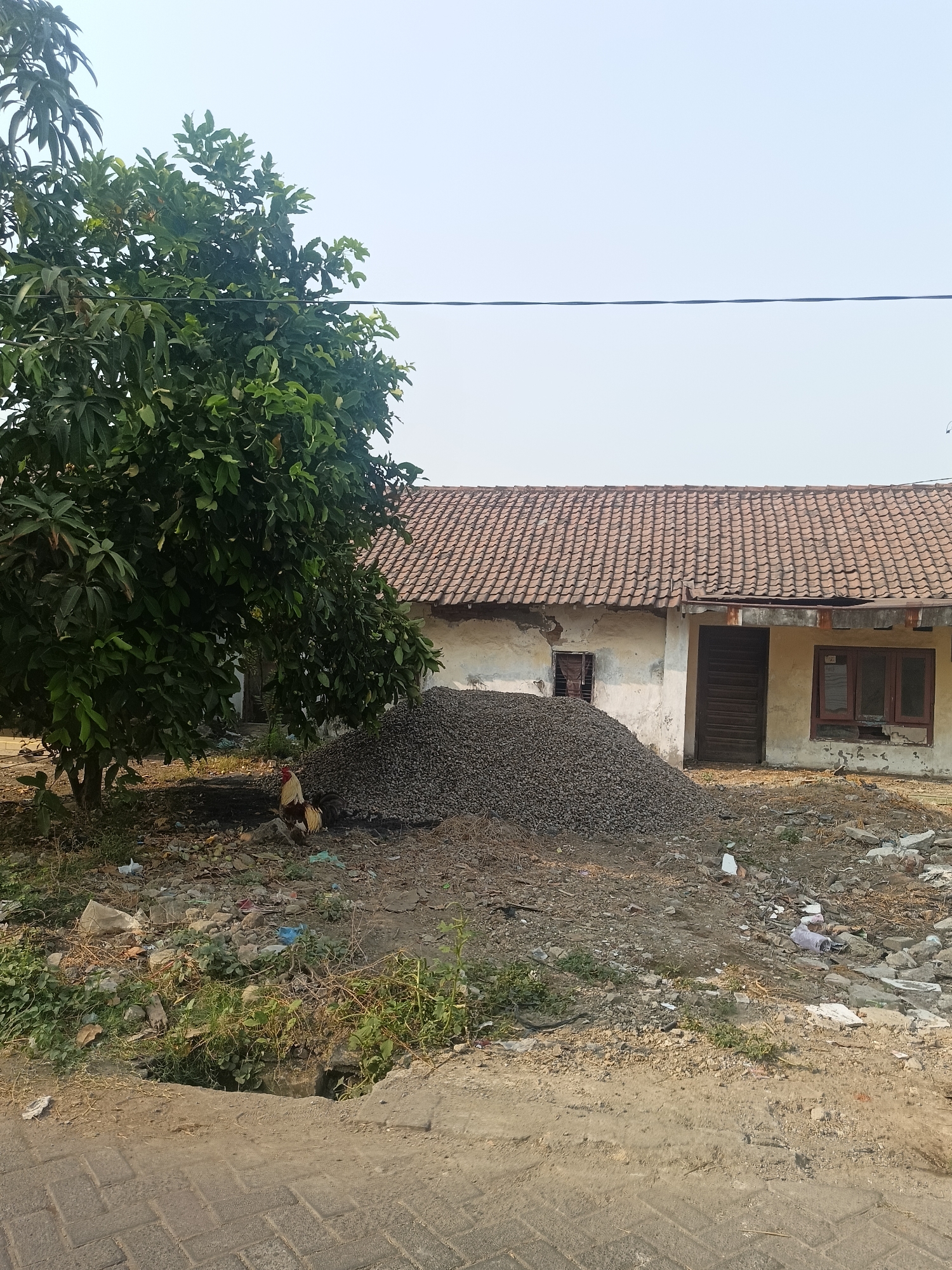 A rural scene in Gedangan, Indonesia, shows a weathered house with a tiled roof and peeling paint. In front of the house, a large pile of gravel sits near a tree with lush green foliage. A rooster stands beside the pile of gravel. The ground is littered with debris, including plastic bags and rubble. A paved pathway runs along the bottom of the image. The sky is clear and bright.