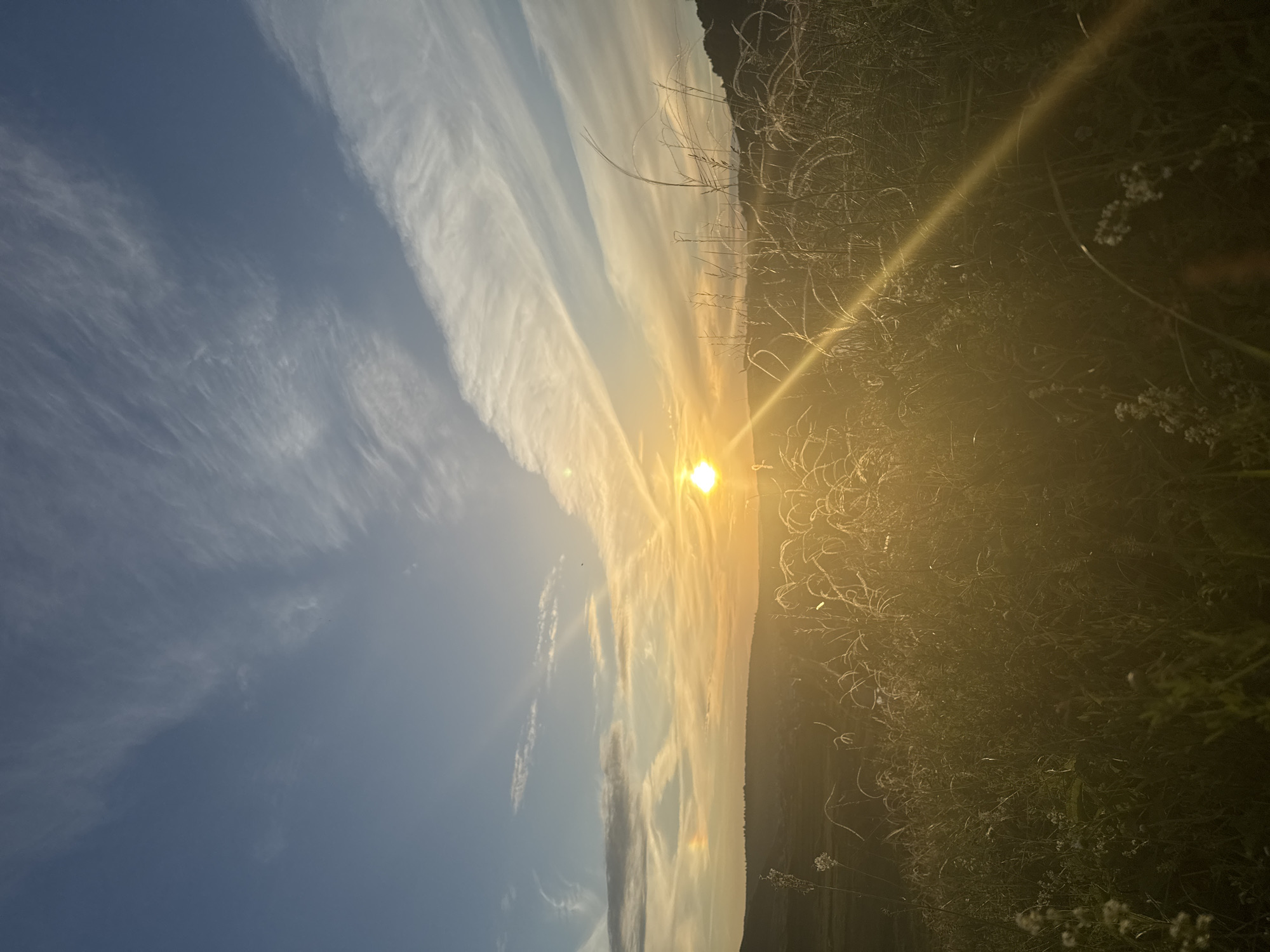 The image displays a scenic view of a sunset in Baiki, Russia. The sun, a brilliant orb, is positioned near the horizon, casting a warm, golden glow across the sky. Wispy, elongated clouds stretch across the vast expanse, illuminated by the sun's rays, creating a dramatic and beautiful atmospheric effect.
In the foreground, the scene is dominated by tall, dry grass and wildflowers, which are silhouetted against the vibrant sky and are catching the golden light. The rich texture of the vegetation suggests a natural, perhaps rural or wild setting. The light filtering through the grass creates an ethereal and slightly hazy ambiance, enhancing the overall mood of the image.
The landscape beyond the immediate foreground appears to be a gently sloping hillside or plain, fading into the distance. The overall impression is one of tranquility and natural beauty, characteristic of a peaceful evening in the countryside. The time of day is clearly sunset, indicated by the low angle of the sun and the warm, saturated colors in the sky. The weather appears clear, with the exception of the scattered, wispy clouds. There is no visible text in the image.