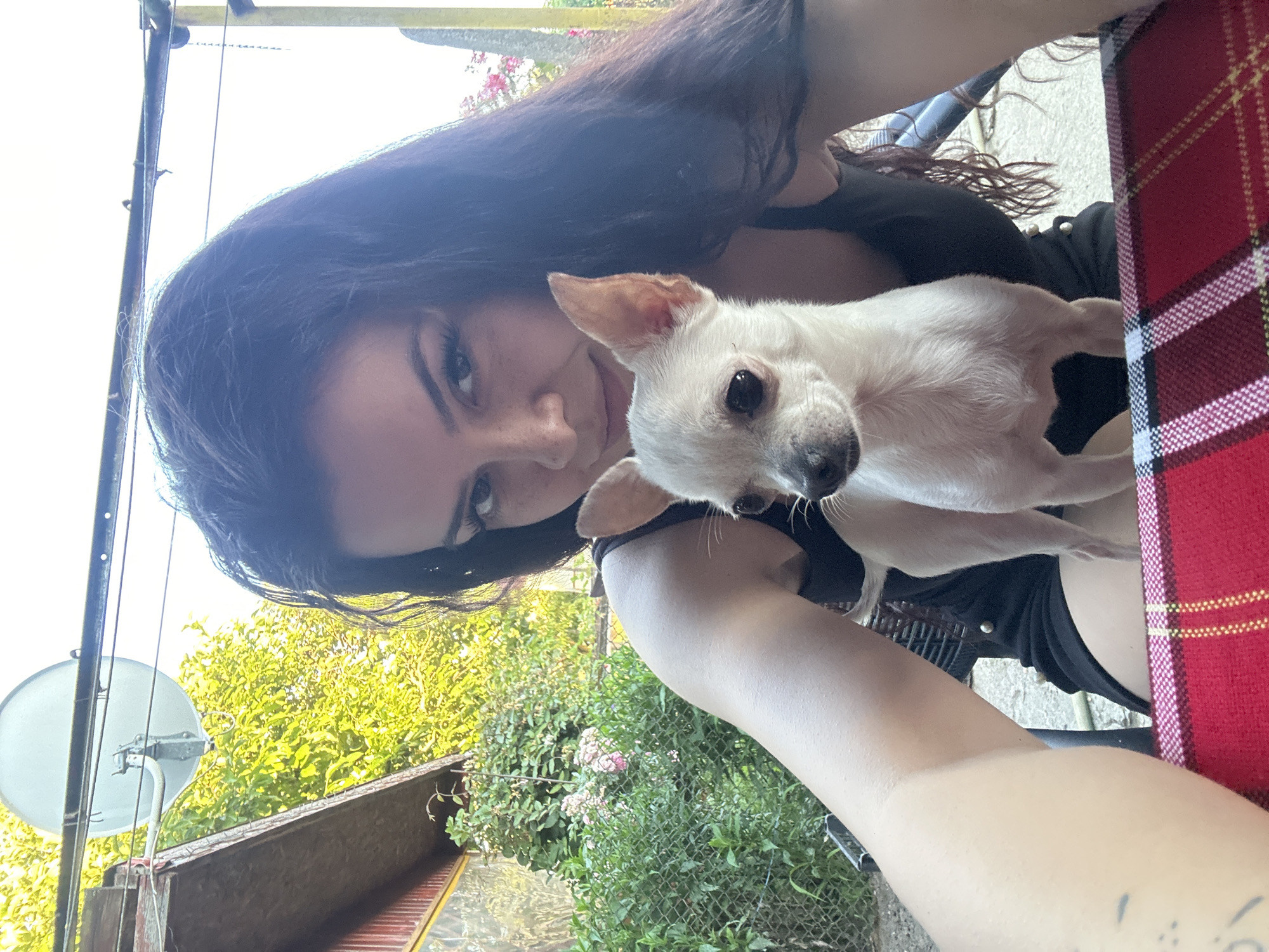 A woman with long dark hair and a black tank top holds a small, light-colored chihuahua. She is seated outdoors, with lush green foliage and trees visible behind her. A red and yellow plaid blanket is spread across her lap. In the background, a satellite dish is mounted on a wire. The scene suggests a casual, possibly domestic setting in or around Chubra, Bulgaria.
