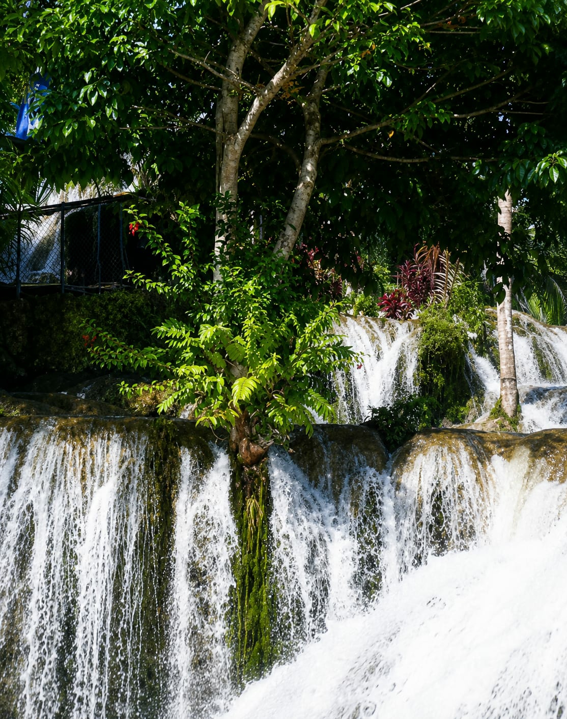 The image depicts a lush natural environment with a multi-tiered waterfall cascading over moss-covered rocks. Dense green foliage and trees frame the top of the waterfall, with some branches extending over the falling water. In the background, glimpses of a chain-link fence and some red-leafed plants are visible. The water flow is prominent, creating a dynamic visual element with white foam and spray at the base. The scene appears to be a natural attraction in a tropical setting.