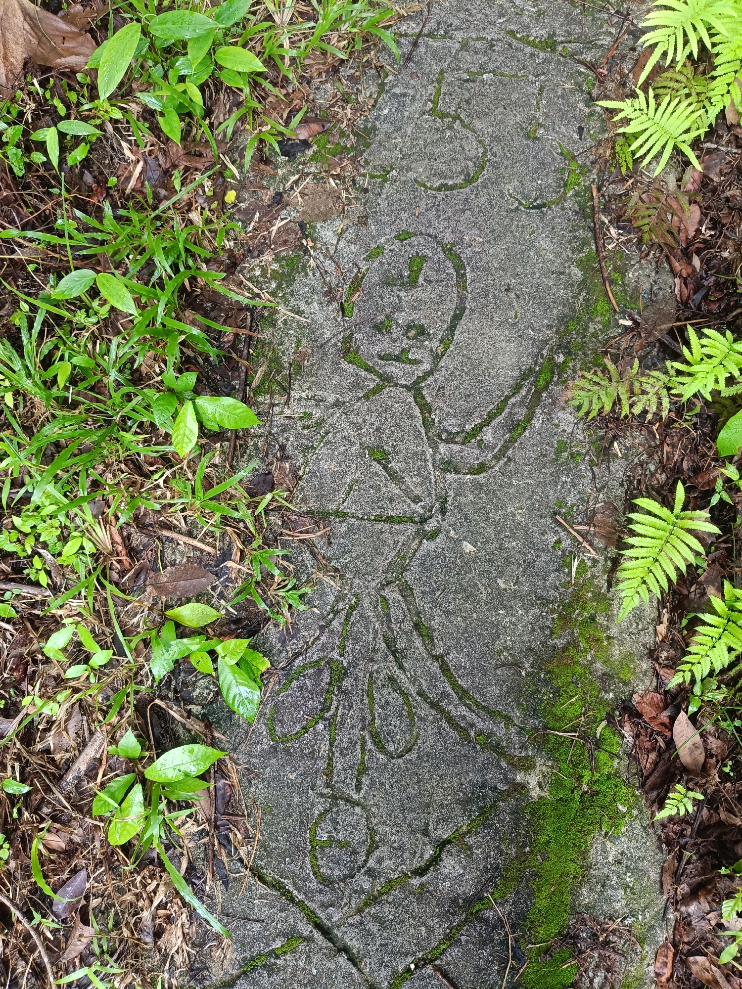 In an outdoor, natural environment, a close-up view shows a carved image on a stone surface, partially covered by moss and surrounded by lush green vegetation and fallen leaves. The carving depicts a stylized human figure with a round head, two arms extended outwards, and a body that tapers down to a skirt-like shape. The figure is rendered in simple, flowing lines. Green moss grows in patches along the carved lines and on the surface of the stone. The stone itself appears weathered and aged. To the left and right of the stone are dense patches of vibrant green grass and ferns, with scattered brown leaves and twigs on the ground. The lighting suggests an overcast or shaded day.