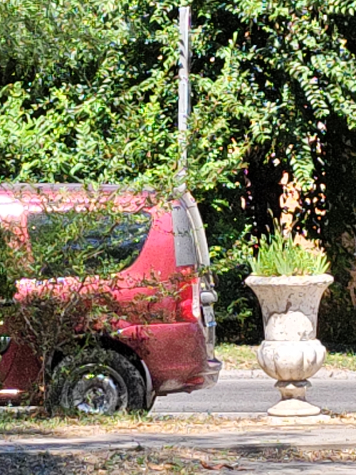 A red van is parked on the side of a street, partially obscured by dense green foliage. The van's wheel is visible, covered in grass and leaves. To the right of the van, a decorative stone planter holds a cluster of green plants. A light-colored pole rises vertically behind the van and extends upwards into the trees. The scene is set against a backdrop of lush green trees and foliage, suggesting a sunny day with dappled light. The specific location within Rostov-on-Don, Russia cannot be determined from the provided image.