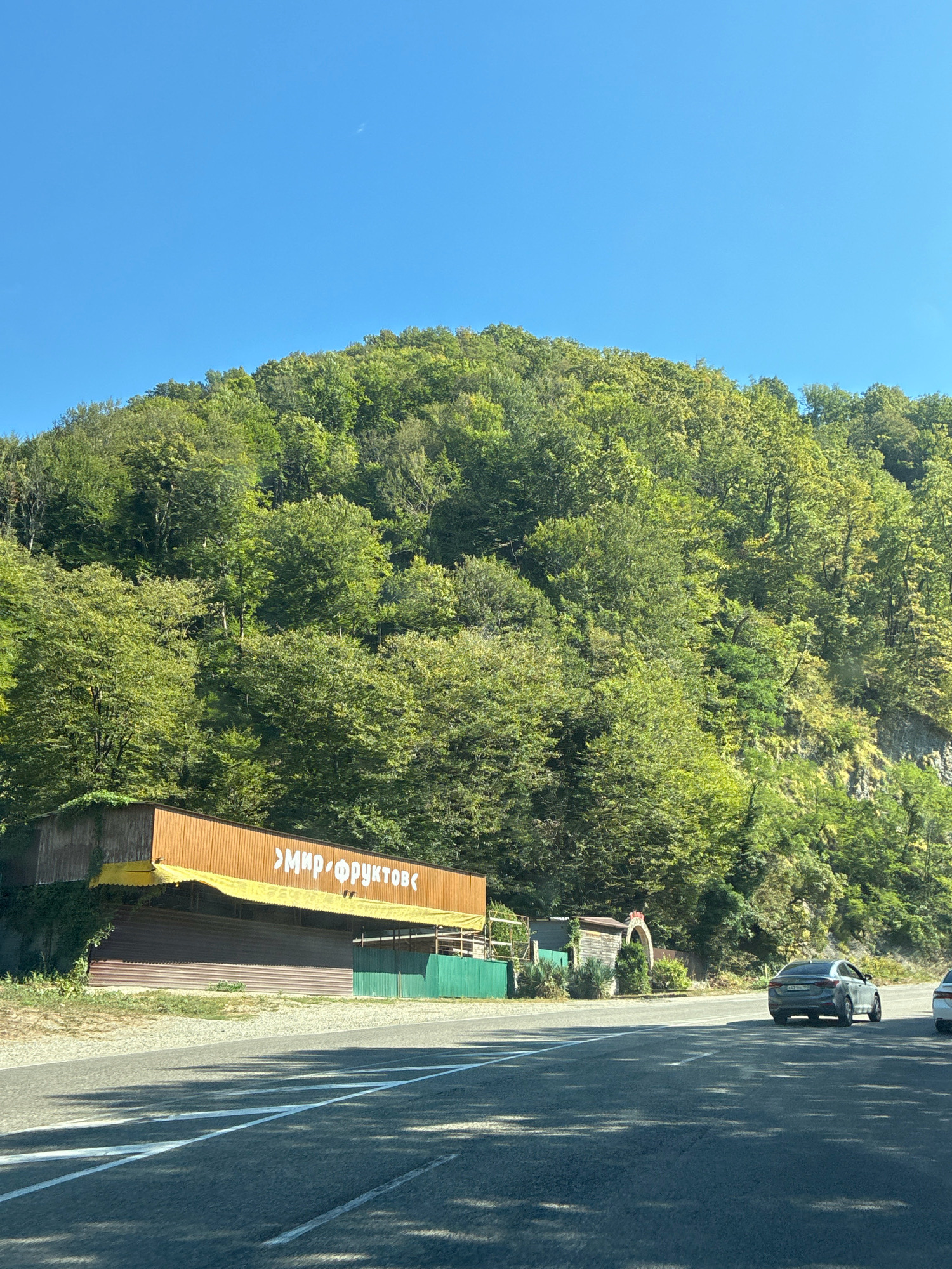 The image shows a roadside establishment in Nebug, Russia, situated at the base of a densely wooded hill. The establishment, likely a market or shop, has a prominent wooden facade with yellow lettering that reads "МИР ФРУКТОВ" (Mir Fruktov), meaning "Fruit World". A yellow awning extends over the storefront. In front of the building, there is a green metal fence. A paved road runs in the foreground, with white lane markings. Two cars are visible on the road: a dark sedan in the middle distance and the rear of a white car further to the right. The environment is characterized by lush green trees covering the steep hillside under a clear blue sky. The scene appears to be a sunny day.