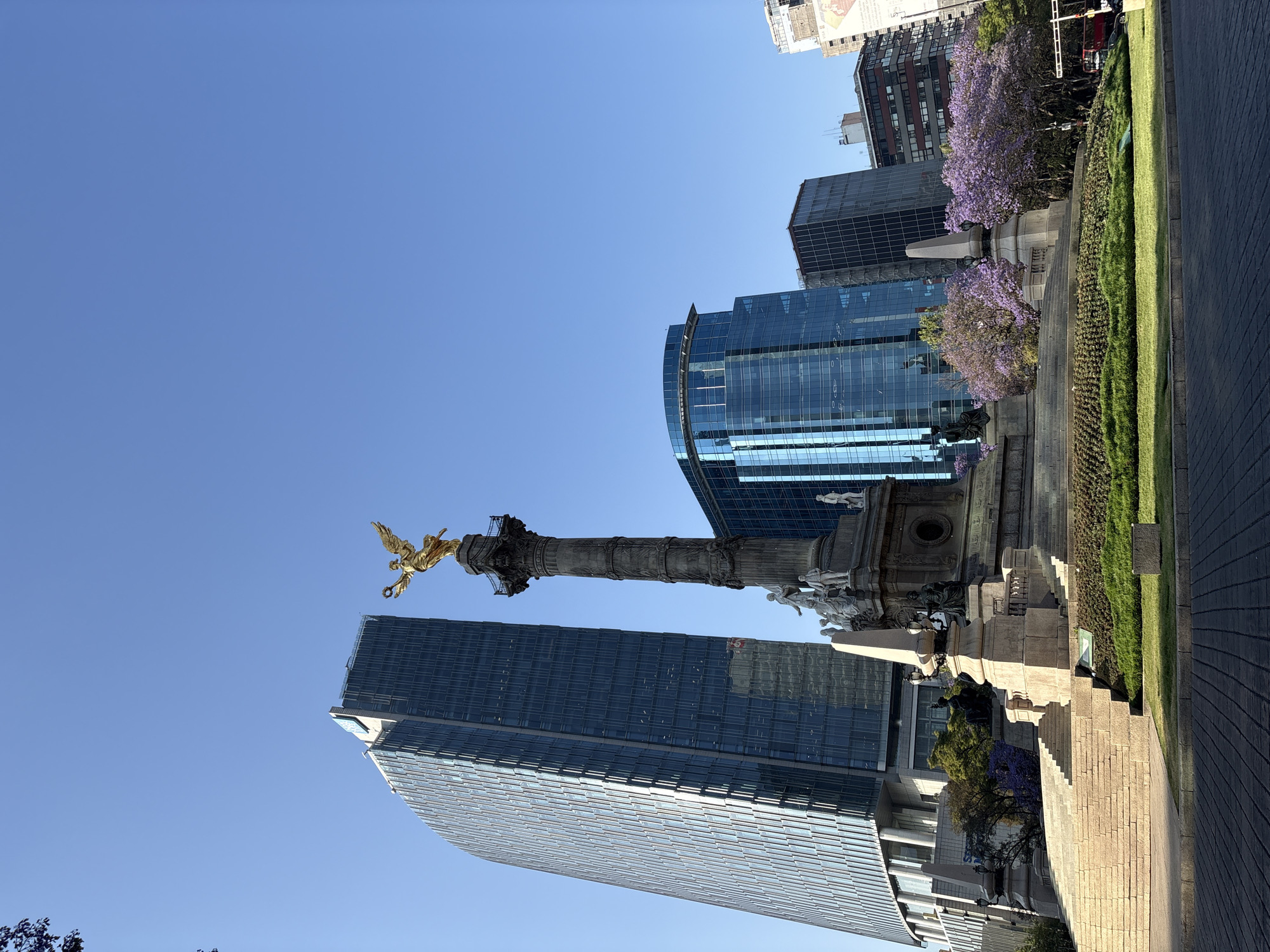 This image depicts the Monumento a la Independencia (Angel of Independence) in Mexico City, Mexico, located at a traffic circle on Paseo de la Reforma. The central subject is a tall, fluted stone column monument. At its apex, a golden winged victory statue holds a laurel wreath in its right hand and a broken chain in its left. The base of the monument features a multi-tiered stone structure with various allegorical statues and reliefs. Steps lead up to the base from a surrounding circular grassy area.
In the background, several modern high-rise buildings dominate the skyline under a clear, bright blue sky. To the left of the monument stands a tall, rectangular skyscraper with a facade composed of numerous light-colored vertical panels. To the right, another large building with a blue glass facade is visible, along with additional darker buildings further in the distance. Behind the monument and the grassy area, several trees with vibrant purple blossoms (likely Jacaranda) are prominent. The foreground shows a cobblestone road or paved area surrounding the monument's base. No discernible individuals are present in the immediate vicinity of the monument. A small portion of a red vehicle is visible on a road in the far right background.