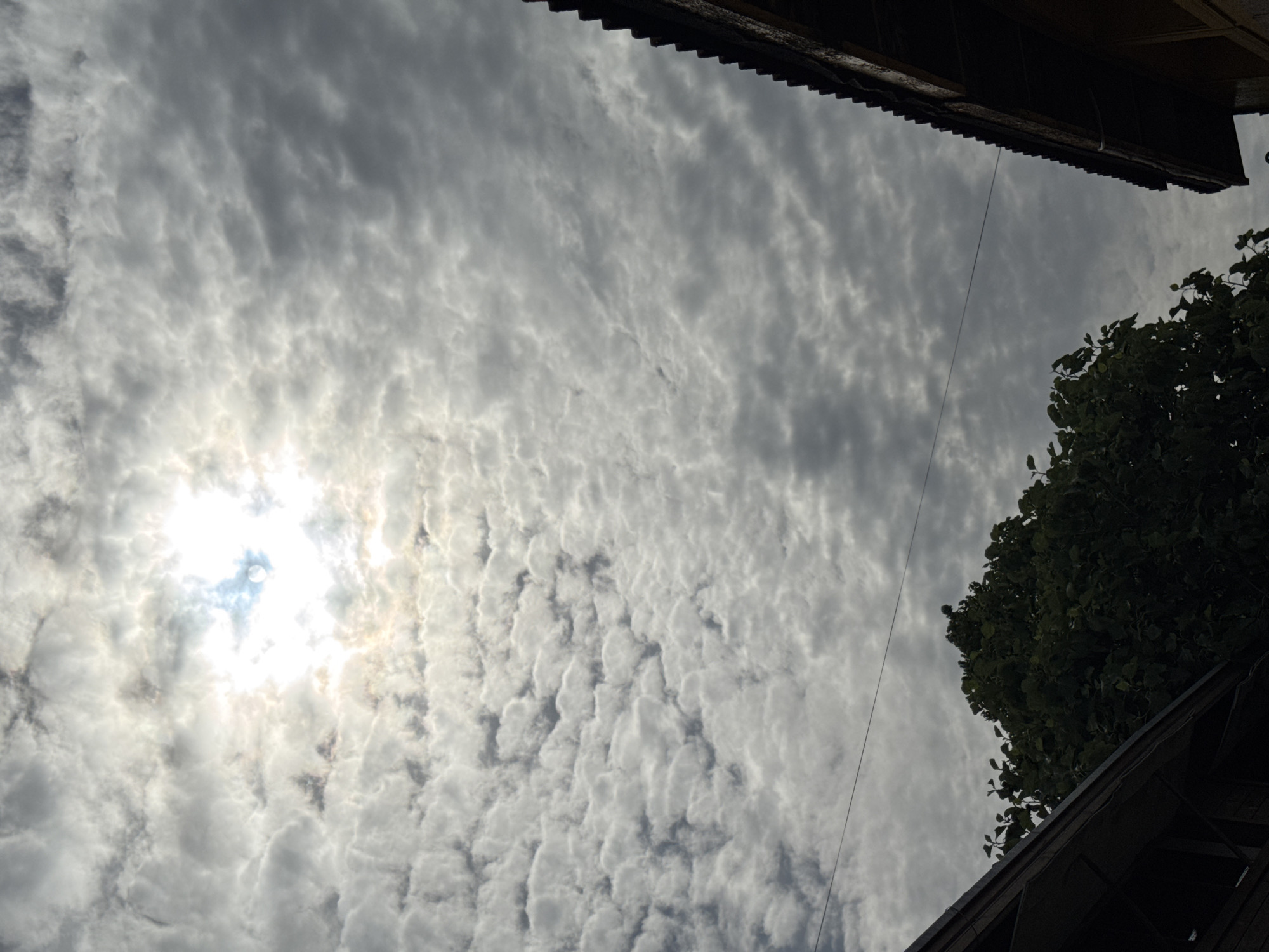 The image depicts a cloudy sky over Sozopol, Bulgaria. The sun is visible through the clouds, creating a bright spot in the upper center of the frame. The clouds are scattered and appear to be altocumulus, forming a textured pattern across the sky. In the foreground, the roofs of two buildings are visible, one on the left and another on the right, partially obscuring the view of the sky. A dark green tree with dense foliage is also present in the lower left portion of the image. A thin wire stretches horizontally across the sky. The overall scene suggests an overcast day.