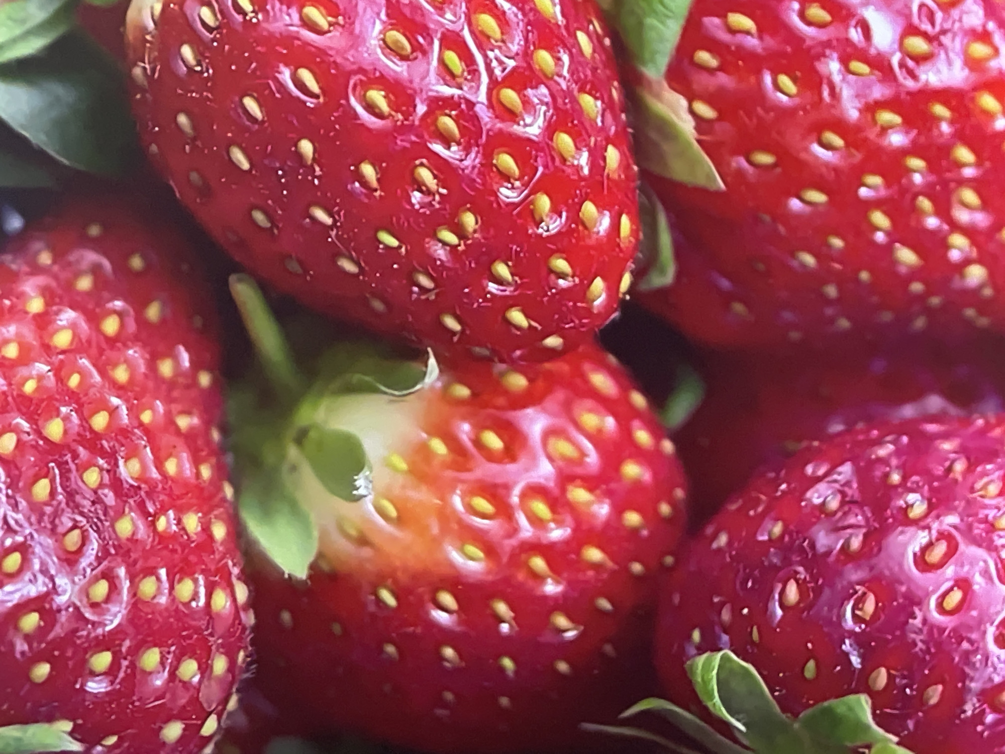 A close-up shot shows a cluster of ripe red strawberries with yellow seeds. The strawberries are surrounded by green leaves. One of the strawberries has a patch of orange-yellow discoloration near the stem. There is no indication this image has any relationship to Rozsoshentsi, Ukraine.