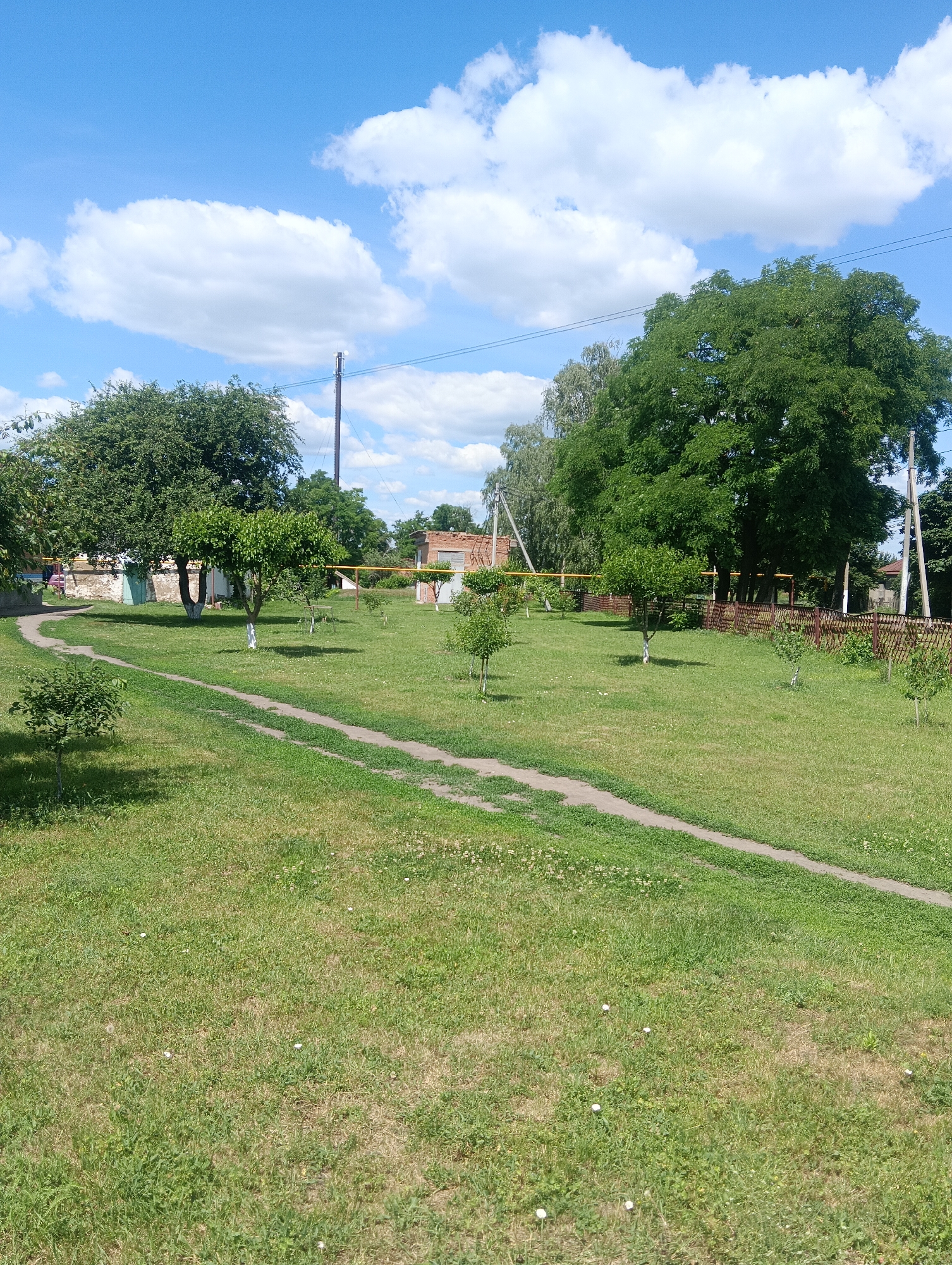 The image shows a sunny day with a blue sky and scattered white clouds. A paved pathway winds through a green, grassy yard dotted with small trees and some white flowers. In the background, there are buildings made of brick and concrete, a tall utility pole, and a fence. Lush green trees are visible throughout the scene, with one large tree dominating the right side of the image. The overall impression is of a rural or suburban residential area on a clear day.