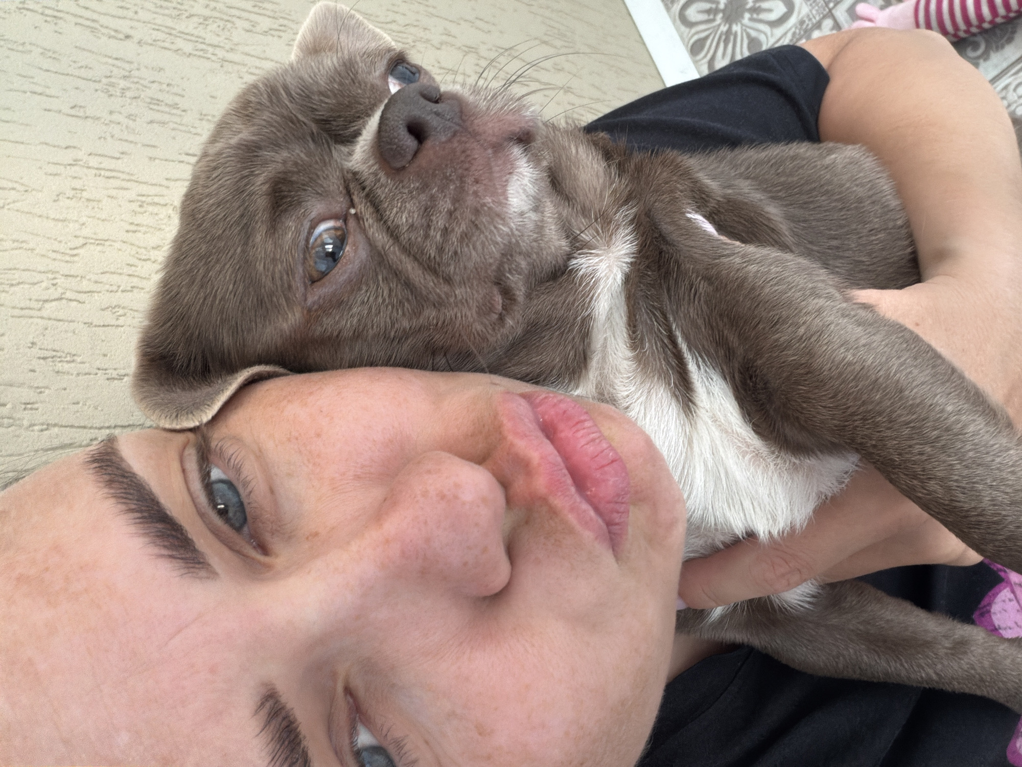 A light-skinned person with freckles and blue eyes is holding a grey-brown and white dog with blue eyes. The person is lying on their back, and the dog is resting on their chest. The background is a neutral-colored textured surface.
The location in Votkinsk, Russia, is not discernible from the image.