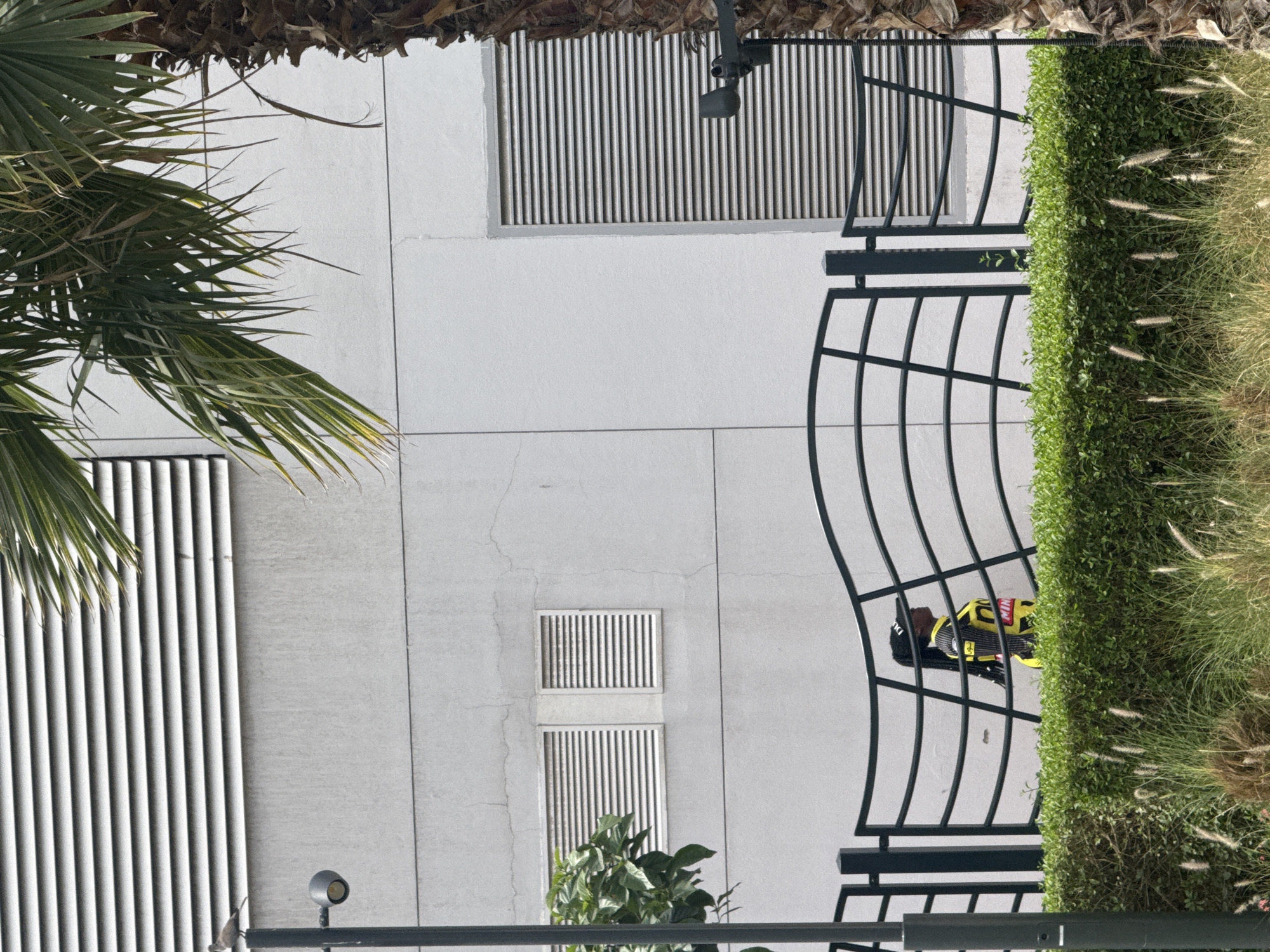 The image shows an outdoor scene in Dubai, United Arab Emirates. A palm tree is partially visible on the left side of the frame. The background features a light-colored building facade with vertical ventilation grills. A black metal fence runs diagonally across the frame, separating the building from a green hedge and grassy area on the right. A person in a black and yellow jacket is walking along the sidewalk. A surveillance camera is attached to the building above the fence.