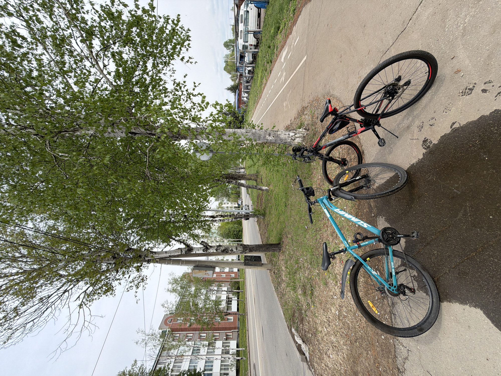 The scene is an outdoor shot of a sidewalk alongside a street in what appears to be a residential area. Two bicycles are the main subjects: one is a teal mountain bike, and the other is a black and red mountain bike. They are parked on the sidewalk near a row of birch trees that line the street.
The environment includes an asphalt sidewalk and street, with buildings of what seem to be apartments in the background. Vehicles appear to be parked further down the road. There is also a dedicated bike lane marked on the pavement near the parked vehicles.
Based on general architectural styles and the presence of birch trees, the image appears to align with the location of Birobidzhan, Russia, and the types of environments found in that city.