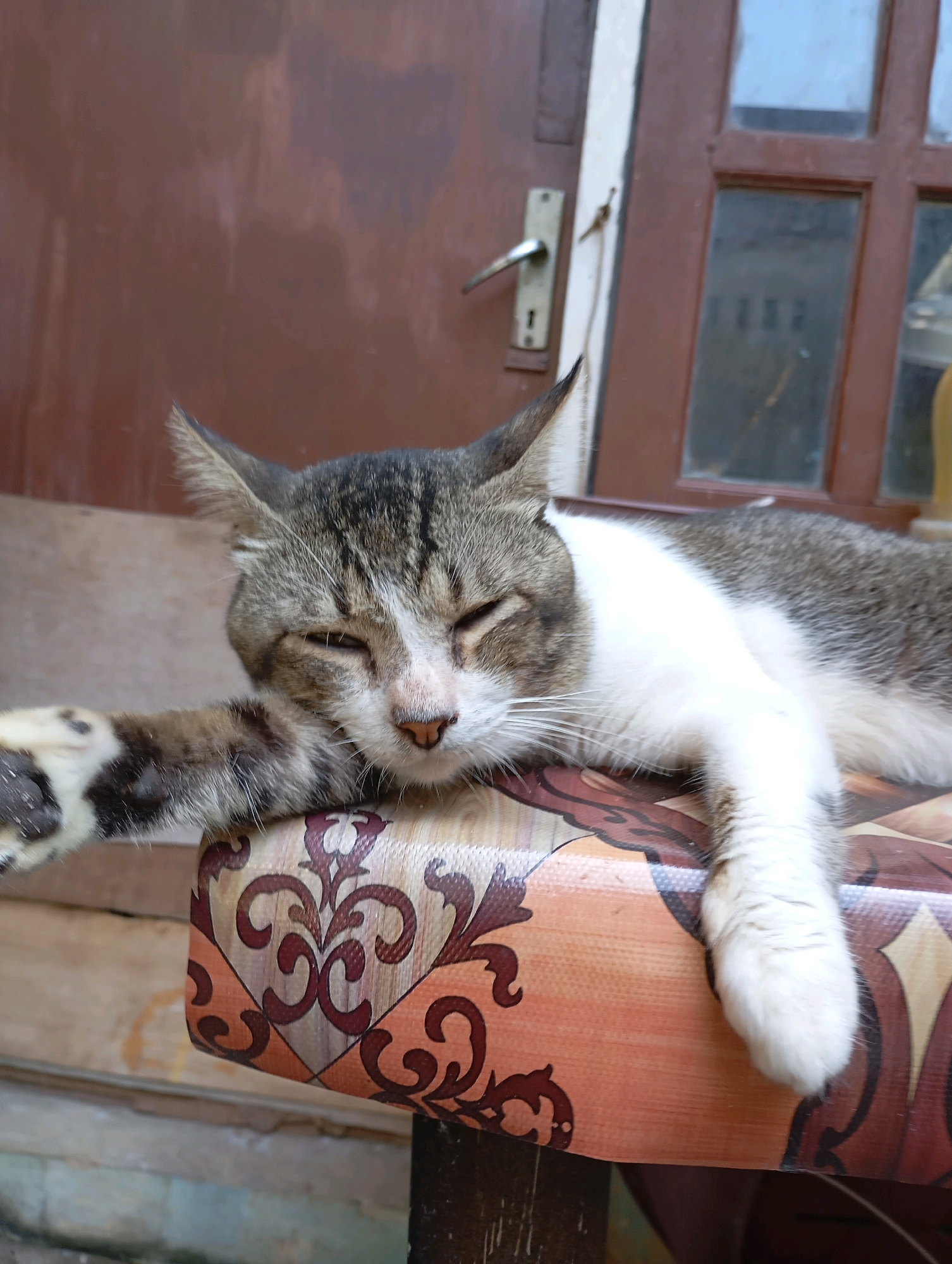 A tabby and white cat is sleeping on a patterned surface, possibly a table or bench, outdoors. The cat's eyes are closed, and its head is resting on its paws. Its fur is a mix of grey, black, and white. In the background, a brown door with a silver handle and a window with glass panes are visible. The environment suggests a residential area, possibly a porch or patio. The image is likely taken in Balikpapan, Indonesia, given the architectural style of the door and window.