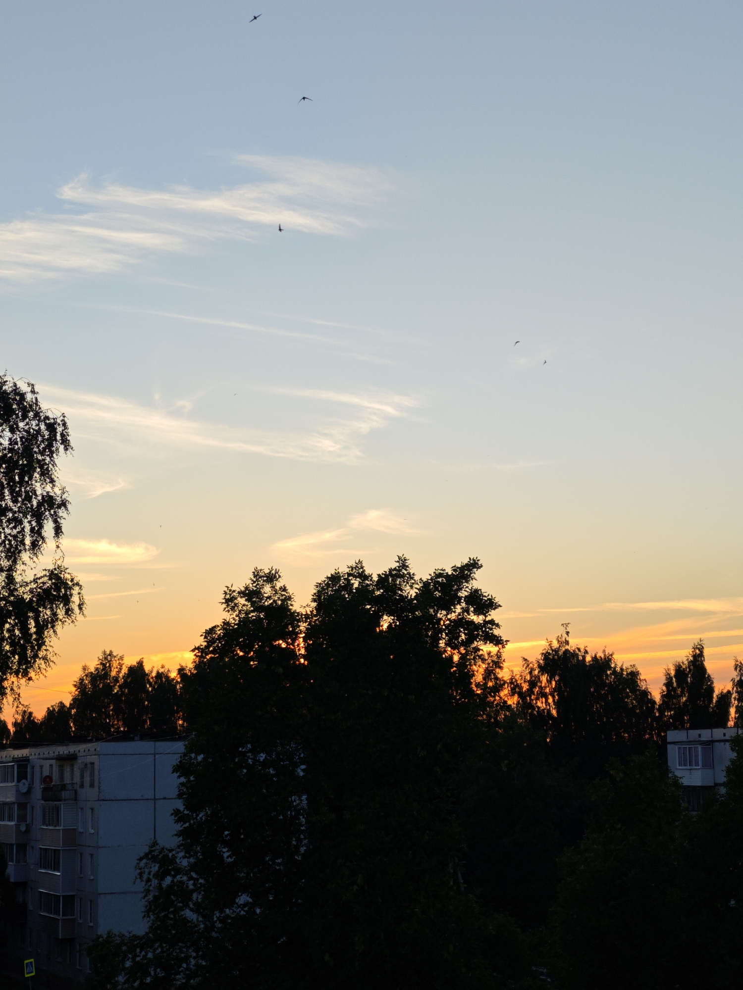 This is a photograph taken at dusk in Zaklinye, Russia. The scene depicts a view of the sky above a residential building and trees. The sky is a gradient of colors, transitioning from a pale blue at the top to a vibrant orange and yellow near the horizon, indicating sunset. Wispy white clouds are scattered across the sky, adding texture. Several birds are visible as small dark silhouettes against the sky, flying at different altitudes.
In the foreground, the dark silhouettes of trees dominate the lower half of the frame, obscuring much of the background. To the left, a portion of a multi-story apartment building is visible, with balconies and windows. The building appears to be made of concrete panels and has a weathered appearance. The overall mood is serene and quiet, characteristic of the end of the day. The lighting suggests it is late evening, just as the sun is setting. There are no discernible people or specific activities depicted, focusing instead on the natural elements of the sky and vegetation, contrasted with the urban element of the building. A small yellow diamond-shaped sign is visible at the bottom left of the frame near the building.