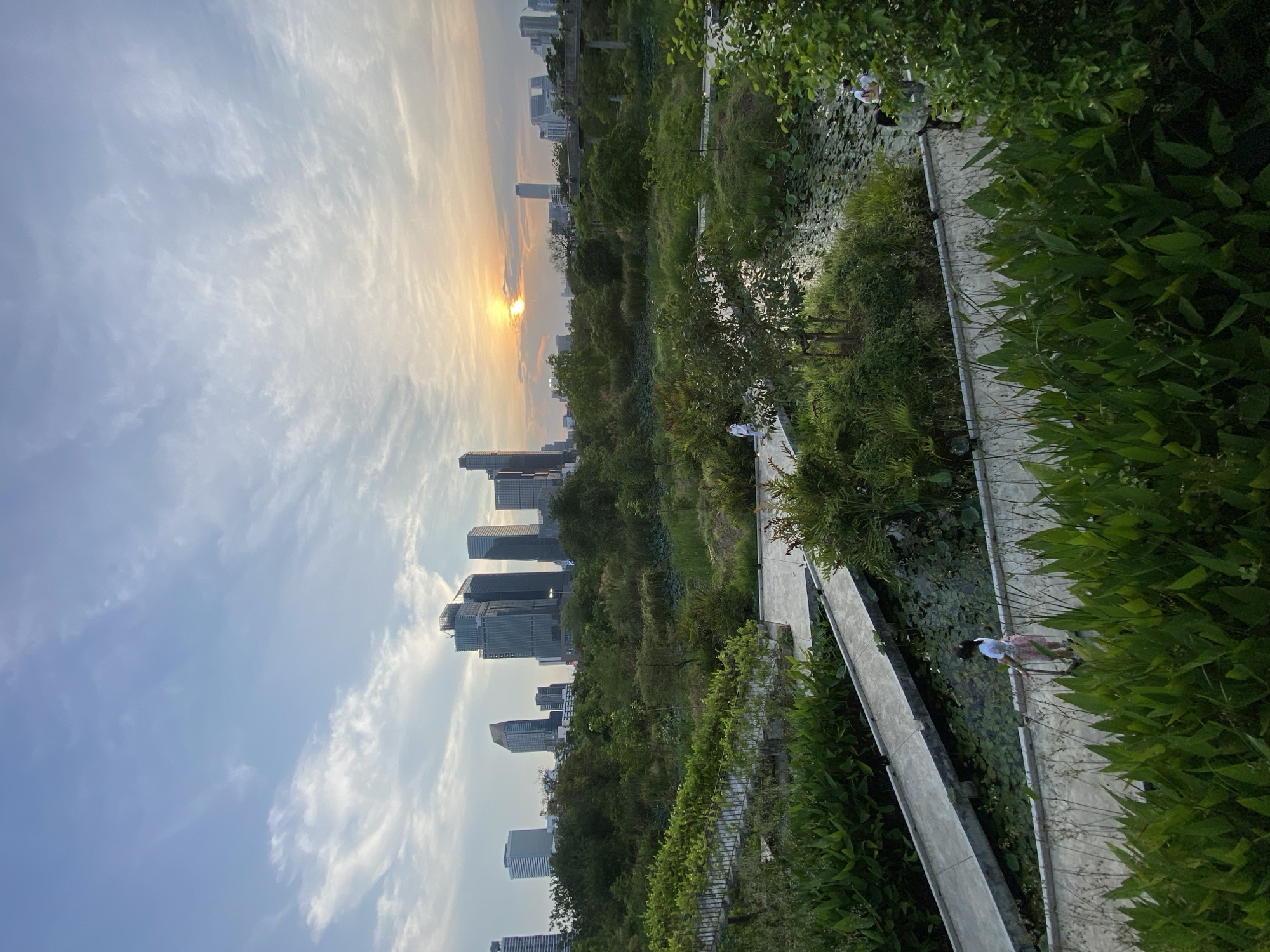 The image captures a scene in Bangkok, Thailand, featuring a blend of urban and natural elements. In the background, a cityscape of skyscrapers is visible, partially obscured by trees. The sun is setting or rising, casting a warm glow on the horizon. A pathway or walkway is in the foreground, bordered by lush green vegetation and a body of water with lily pads. Several people are walking on the pathway. The sky is filled with clouds, tinged with the colors of the sunrise/sunset.