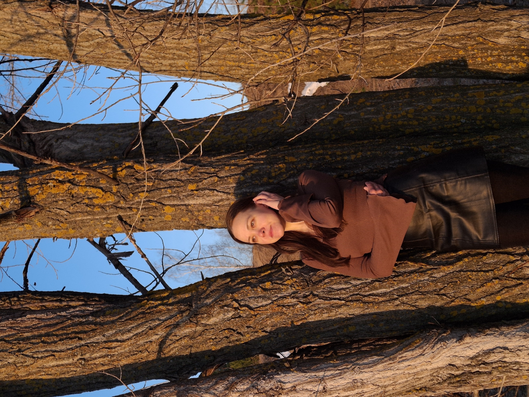 The image captures a young woman posing outdoors amidst several large tree trunks. She is seen from a low angle, appearing to recline or lie within the arrangement of trees, with her head slightly raised and her right hand gently near her ear. She looks directly at the camera with a calm, gentle expression.
The woman has long, dark brown hair and is dressed in a long-sleeved, ribbed brown top and a dark, possibly leather or faux leather, skirt. Her face and the upper part of her body are bathed in warm, golden light, indicative of the golden hour or sunset, which creates soft highlights and shadows.
The dominant features of the scene are the thick tree trunks, which frame the woman. Their bark is deeply textured and furrowed, with noticeable patches of yellow-orange lichen. Leafless branches extend from the trunks, suggesting a late autumn or early spring setting. Between the tree trunks, sections of a clear, bright blue sky are visible. The warm, directional light enhances the rich textures and colors of the tree bark. The overall setting implies a wooded area or a dense alley of trees, located in Chaikovsky, Russia. There is no visible text in the image.