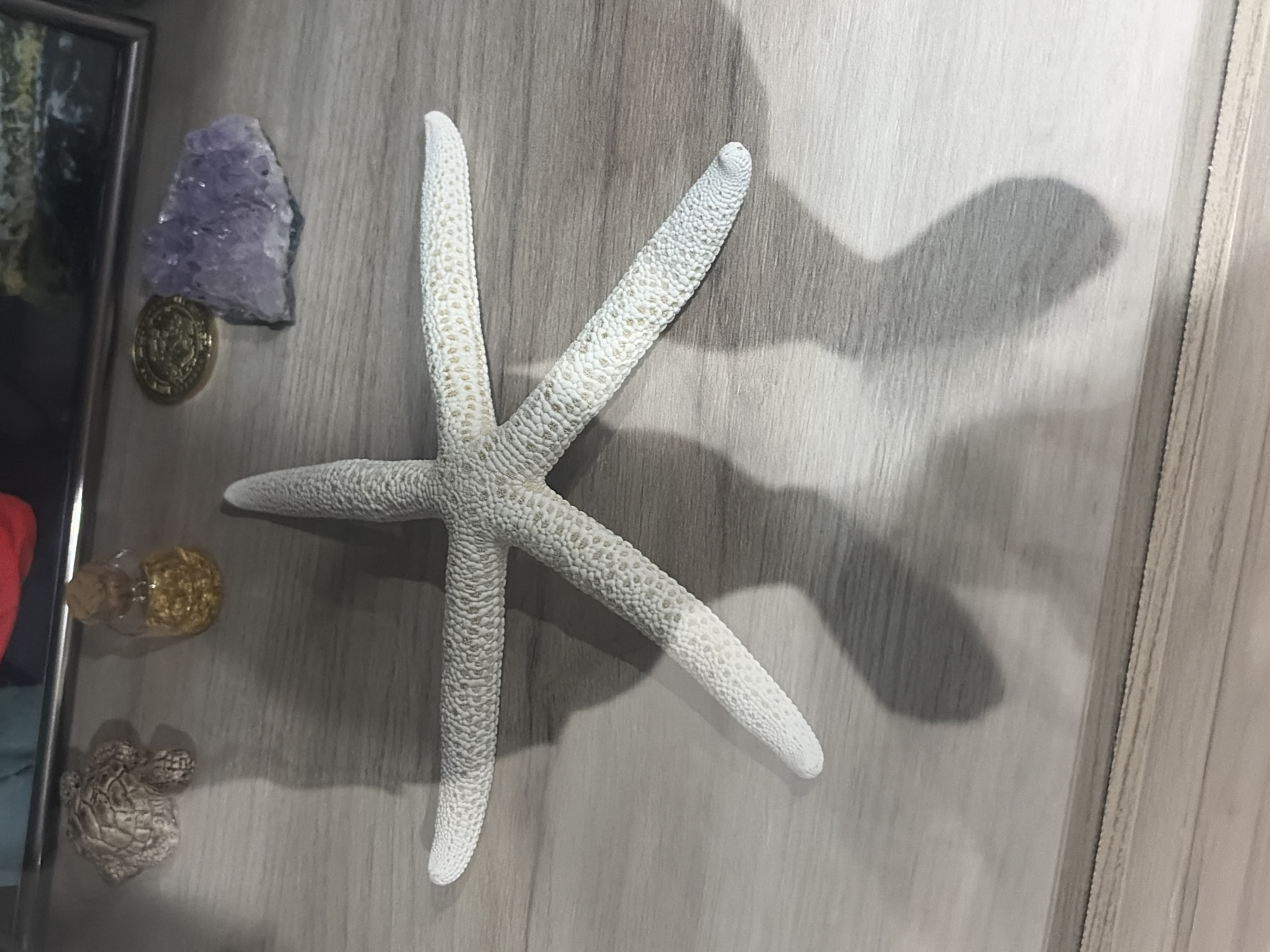 The image displays a collection of decorative objects arranged on a wooden surface, likely a shelf or table. Dominating the foreground is a large, white, five-pointed starfish with a textured surface, casting a prominent shadow. To the upper left, a small, textured figurine of a turtle is visible. Adjacent to it is a miniature glass bottle with a cork stopper, containing small, golden-colored flakes. Further to the right, a round, gold-colored coin with intricate markings rests near a cluster of rough, purple amethyst crystals. The background suggests a reflective surface, possibly glass, hinting at a display case or cabinet. The overall scene appears to be a still life arrangement, possibly part of a personal collection. There is no indication of Podgumer, Bulgaria in the image.
