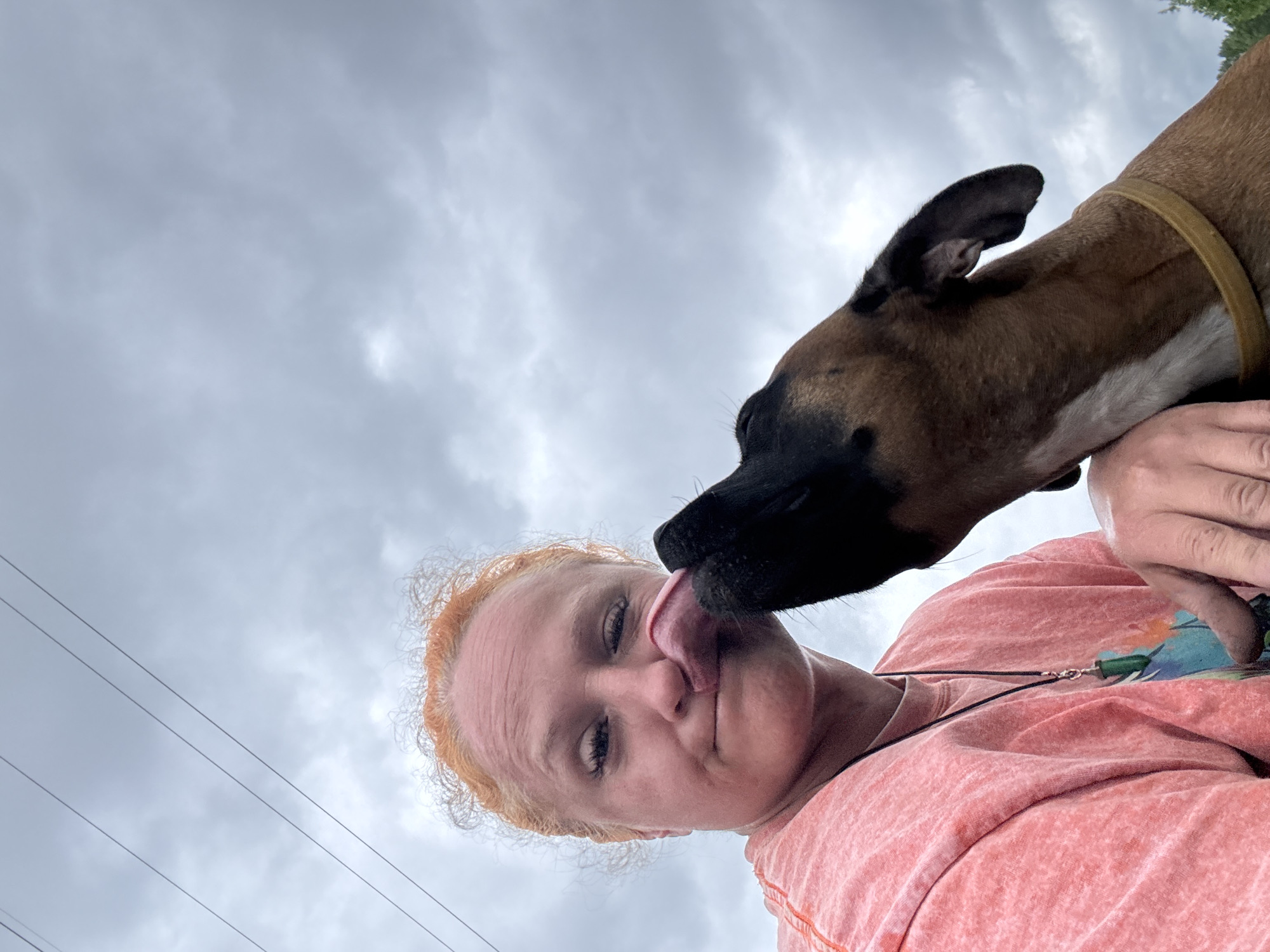 A low-angle close-up shot shows a fair-skinned woman with light reddish-blonde curly hair and a pink top being licked on the face by a brown and black dog with a yellow collar. The woman's eyes are visible, and her expression suggests she is tolerating the dog's affectionate gesture. The dog is primarily brown with a black snout and ears.
In the background, there is a cloudy sky and a glimpse of power lines. The scene appears to be outdoors, possibly in a park or similar open space. The specific location is in the city of Chaikovsky, Russia.