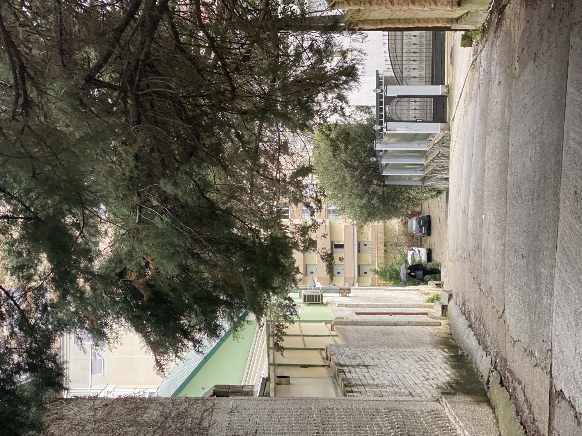 The image depicts a narrow alleyway in Sochi, Russia. The alley is paved with a combination of concrete and brick. The alley is flanked by buildings on both sides, one of which has a green roof and air conditioning units visible. A large tree overhangs the alleyway, obscuring the view. Further down the alley, a black car is parked. A person dressed in black stands on the sidewalk adjacent to the car. At the end of the alley, a metal gate is visible. The overall environment suggests an urban setting with a mix of residential and commercial structures.