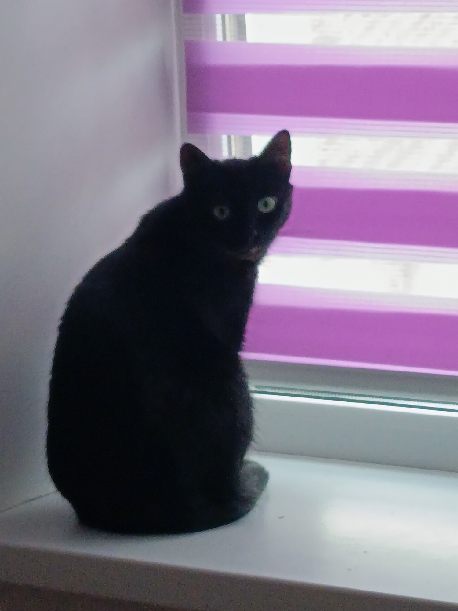 A black cat sits on a windowsill, looking towards the viewer. The cat is predominantly black, with a slight sheen to its fur. Its eyes are open and appear to be a pale green or yellow color. The cat's ears are pointed and visible. Behind the cat, a window is partially covered by horizontal blinds with alternating purple and white stripes. The light coming through the blinds creates a striped pattern on the wall and the window area. The windowsill is white and appears to be made of a solid material. The wall to the left of the cat is a light, solid color, likely white or a very pale gray. The overall lighting suggests it is daytime, with diffused light entering from the window. The scene is indoors.