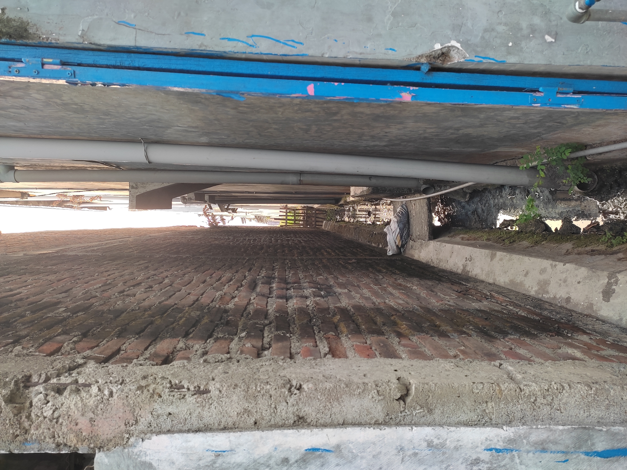 The image depicts a narrow alleyway in Cekok, Indonesia. On the left is a weathered brick wall with a concrete column in the foreground. To the right, a grey concrete wall runs parallel to the brick wall, with a bright blue metal gate on the far right. Several grey pipes are affixed to the concrete wall. In the center of the alley, a shallow, narrow drainage ditch contains murky water and some debris. A small amount of greenery is visible near the ditch. The overall scene suggests a utilitarian, possibly neglected, urban environment.