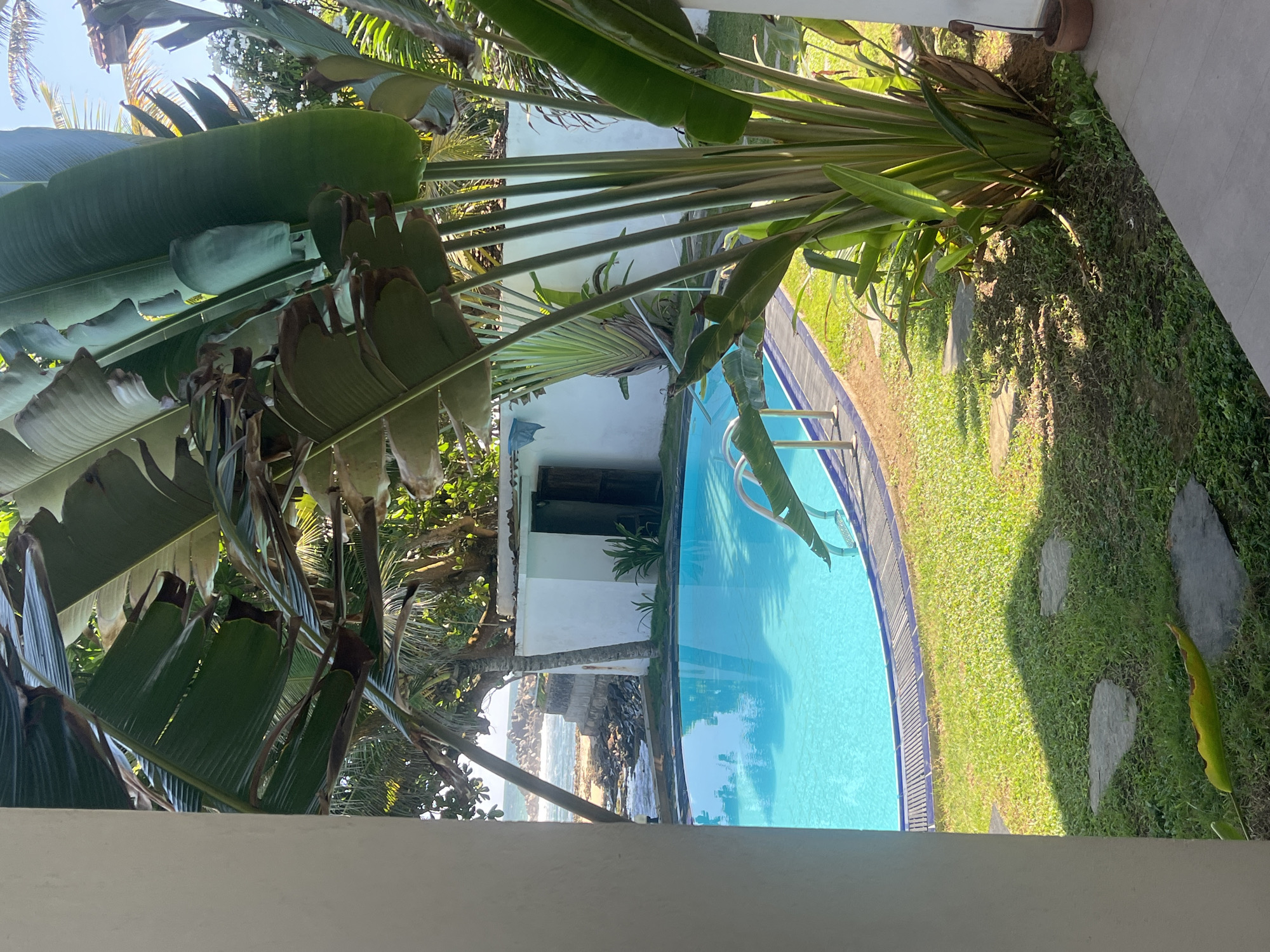The image shows a bright blue swimming pool in Goviyapana, Sri Lanka, with lush green grass surrounding it. Large, leafy plants are in the foreground, casting shadows on the grass. The pool has a dark blue border and metal steps leading into it. Beyond the pool, a white building with a dark doorway is visible. In the distance, the ocean can be seen with rocky shorelines. The sky is clear and blue.