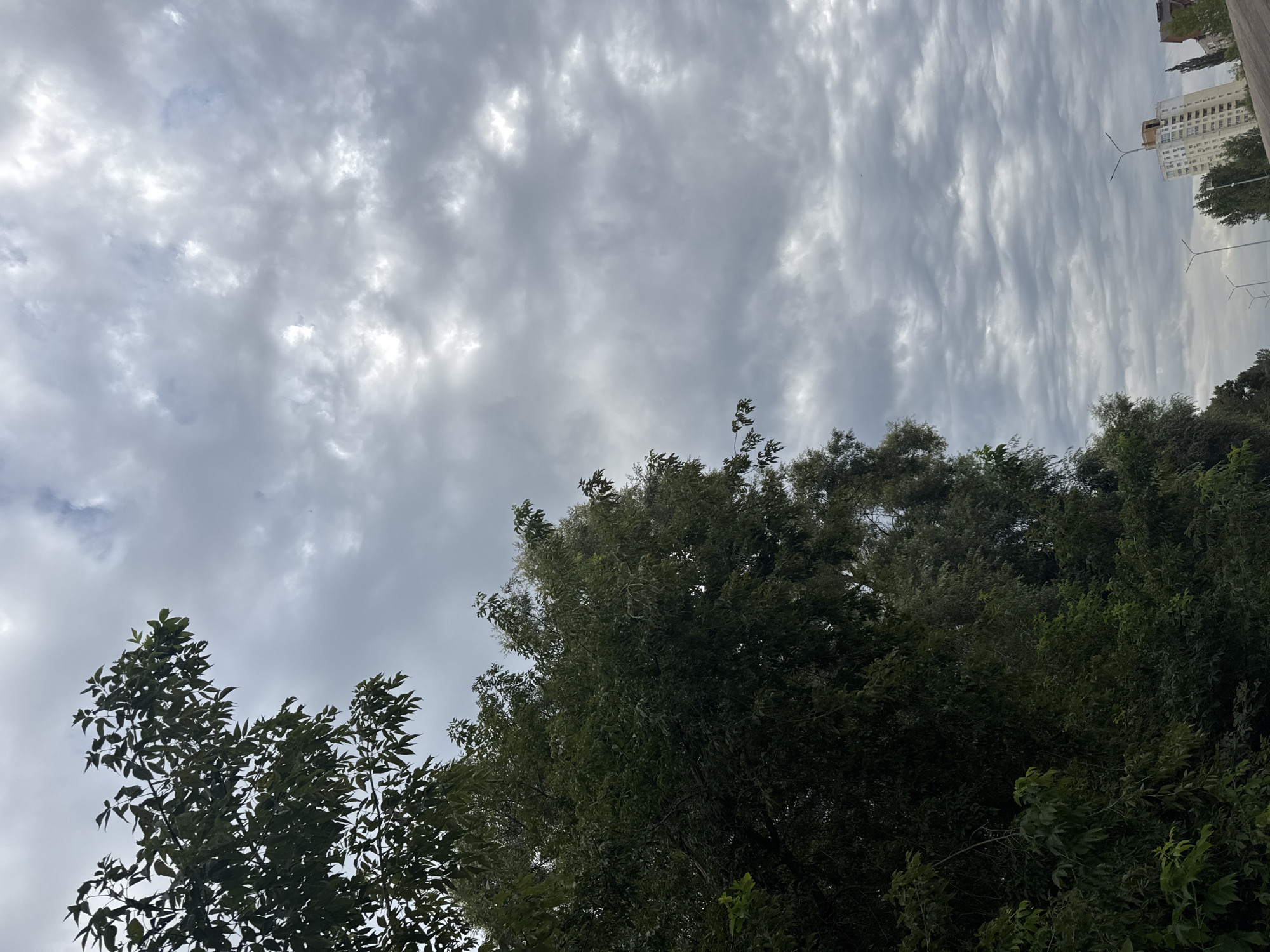 The image captures a sky filled with dense, gray, and white clouds, suggesting an overcast or possibly stormy day. In the foreground on the left side, lush green trees with dark leaves partially obscure the view. On the right side of the frame, a modern, tall white building with balconies and some visible construction or unfinished sections stands out against the sky. Several streetlights with lamps are visible along a road or pathway leading towards the building. The bottom right of the image shows a bit of a raised embankment or structure, possibly a highway overpass. The overall scene appears to be an urban environment, with the building and streetlights indicating a populated area. The presence of trees suggests a park or green space within the city. The specific location in Ufa, Russia, is not explicitly determinable from the visual information alone, but the architectural style of the building and the streetlights are consistent with urban landscapes found in Russia.