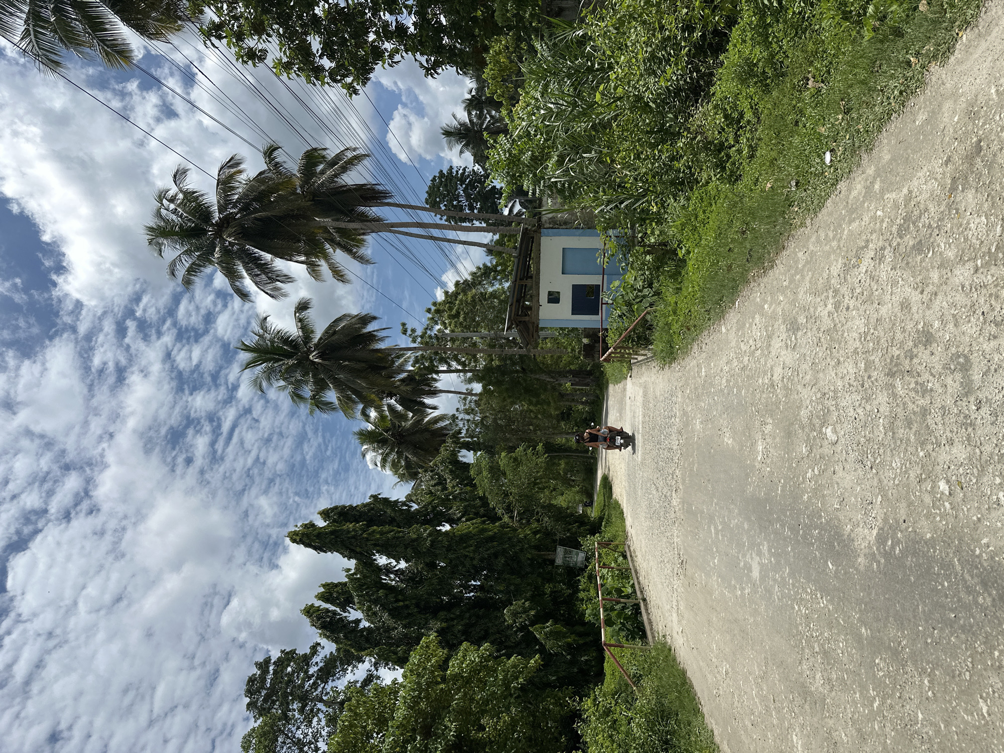 The image depicts a rural road in Loboc, Philippines, with lush green vegetation and tall palm trees lining both sides. The road surface is unpaved and appears to be made of dirt and gravel. In the distance, a person is riding a motorcycle, heading away from the viewer. On the right side of the road, there is a small, blue and white building. The sky above is partly cloudy with scattered white clouds against a bright blue background. Electrical wires are visible, strung between poles, stretching across the scene. The overall impression is one of a serene, tropical landscape.