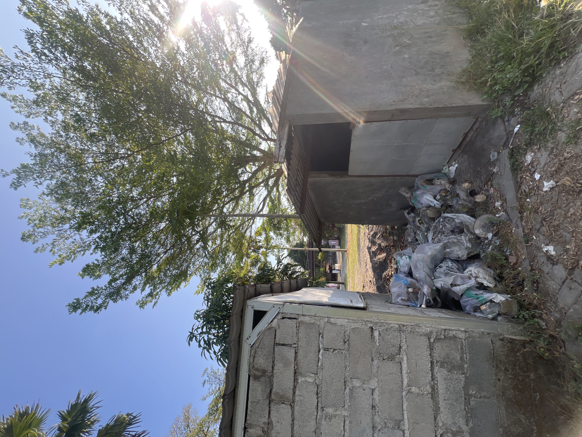 The image depicts an outdoor scene in Tlogoadi, Indonesia, characterized by two small, dilapidated structures, likely waste disposal units. The structure on the left is constructed from gray cinder blocks and has a corrugated metal roof. A large pile of trash bags, containing various refuse, is heaped beside it. The structure on the right is made of concrete with a similarly weathered corrugated metal roof. This unit also appears to be a waste collection point, as trash is visible both inside and spilling out. The surrounding environment shows signs of neglect, with debris scattered on the ground and overgrown vegetation. A large tree with lush green foliage dominates the upper portion of the image, with the sun's rays beaming through its branches, creating lens flare. The sky is clear and blue.