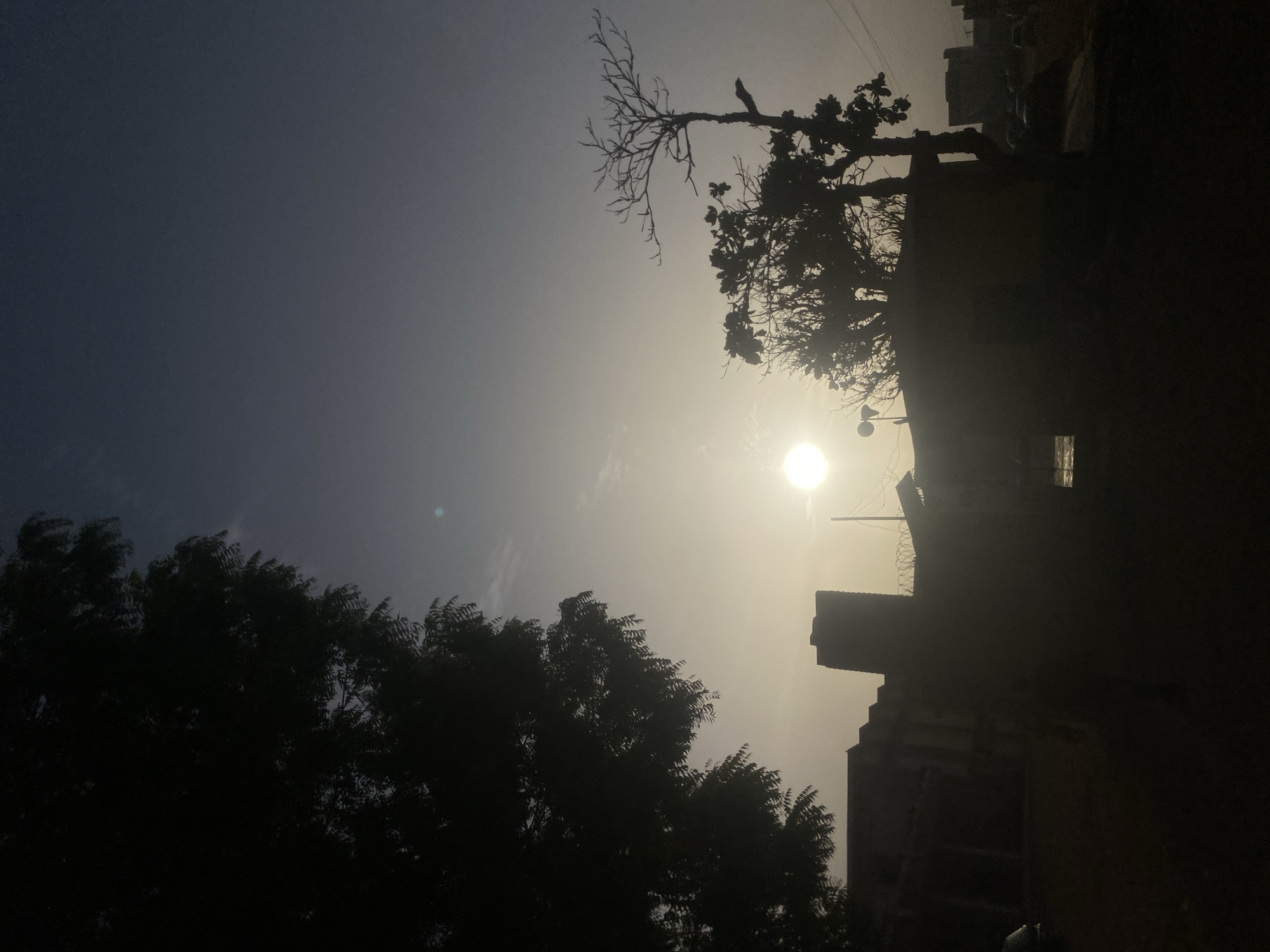 The image displays a landscape bathed in the intense light of a low-lying sun, creating dramatic silhouettes. The scene is oriented vertically, with the sun positioned prominently on the right side. A bright, almost blindingly white circular sun illuminates a hazy, yellowish-white sky directly around it. The sky gradually darkens towards the left, transitioning into a deep blue-grey hue, particularly in the upper and lower left quadrants.
Several subjects are silhouetted against this dynamic sky. On the lower left, a large, dense tree with numerous leaves forms a dark mass. Another tree, featuring both bare branches and clusters of leaves, is distinctly outlined against the bright sky in the upper right portion of the image.
On the far right, dark, shadowy structures are visible, appearing to be multi-story buildings. Their details are mostly obscured by shadow, but faint outlines of windows and rooflines can be discerned. One building's rooftop appears to have barbed wire. The strong backlighting and atmospheric haze suggest either early morning sunrise or late afternoon sunset. The hazy conditions might indicate dust or specific weather phenomena. No specific human activity or visible text is present. The overall impression is one of stark contrast and atmospheric mood, set in an urban or semi-urban environment, likely in Kwarbai B, Nigeria.
