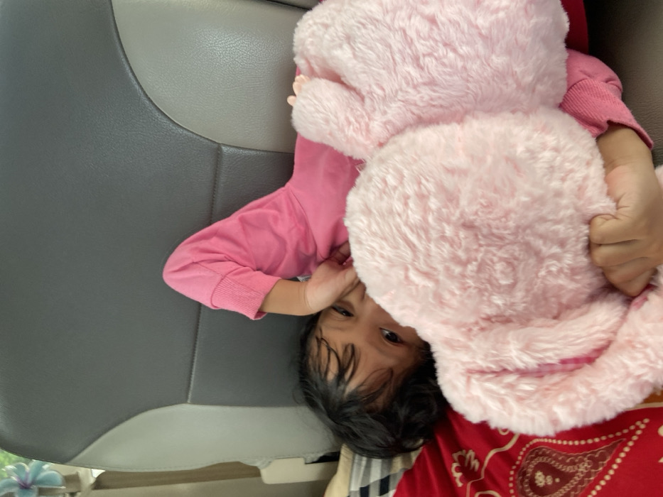 A young child in a pink shirt and red patterned fabric sits in a gray car seat, holding a large, fluffy pink teddy bear. The child's face, with dark hair, is partially visible, peeking out from behind the bear. The child's hand rests near their face, and their eyes are open, looking towards the camera. The scene is indoors, likely inside a vehicle during travel.