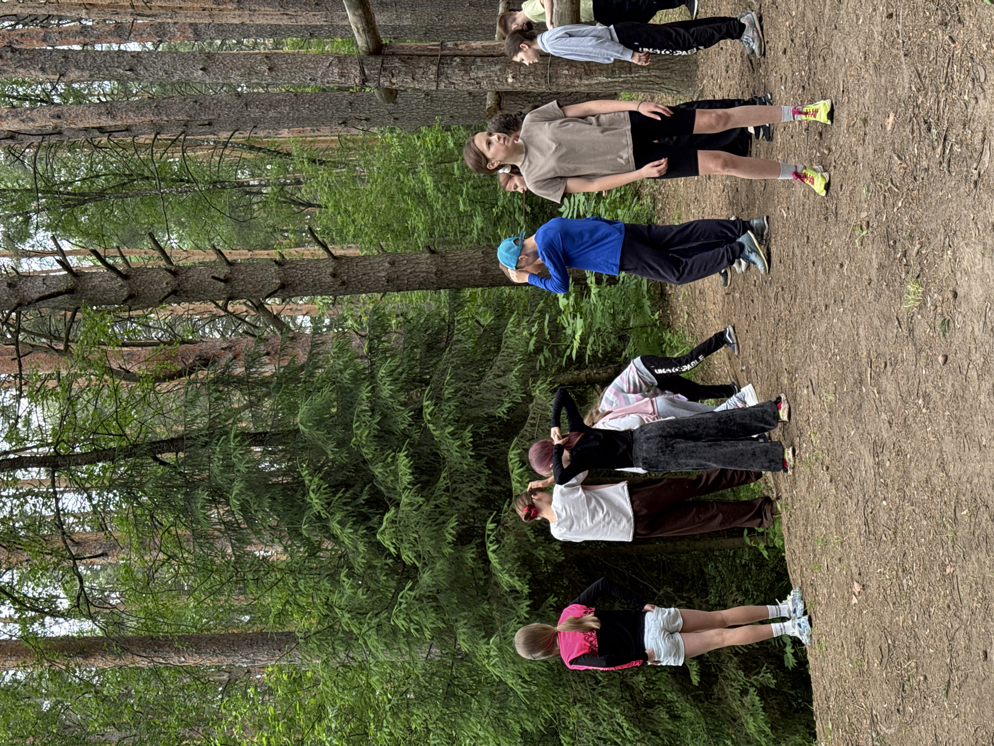 A group of approximately eight young people, likely children or teenagers, are gathered in a coniferous forest in Chaikovsky, Russia, during what appears to be daytime with bright, natural light. The setting features numerous tall pine or fir trees with rugged bark, and a forest floor covered in dirt and fallen needles, with lush green undergrowth and shrubs visible throughout.
The individuals are dressed in casual attire suitable for outdoor activity, including t-shirts, long-sleeved shirts, shorts, and track pants, paired with athletic shoes. They are positioned in what appears to be a loose line or group, facing forward into the deeper forest. Some are standing with hands on their hips, others are adjusting their clothing or hair. Notable attire includes a blue baseball cap worn by one person, bright yellow/green sneakers on another, and a black long-sleeved top with a bright pink hoodie and white shorts on the leftmost visible person. At least two individuals wear black athletic pants with the word "UNSTOPPABLE" printed along the side of the leg.
The scene suggests an organized outdoor group activity or outing, possibly a nature walk, camp activity, or an outdoor lesson. The weather appears pleasant, with no indications of rain or extreme temperatures.