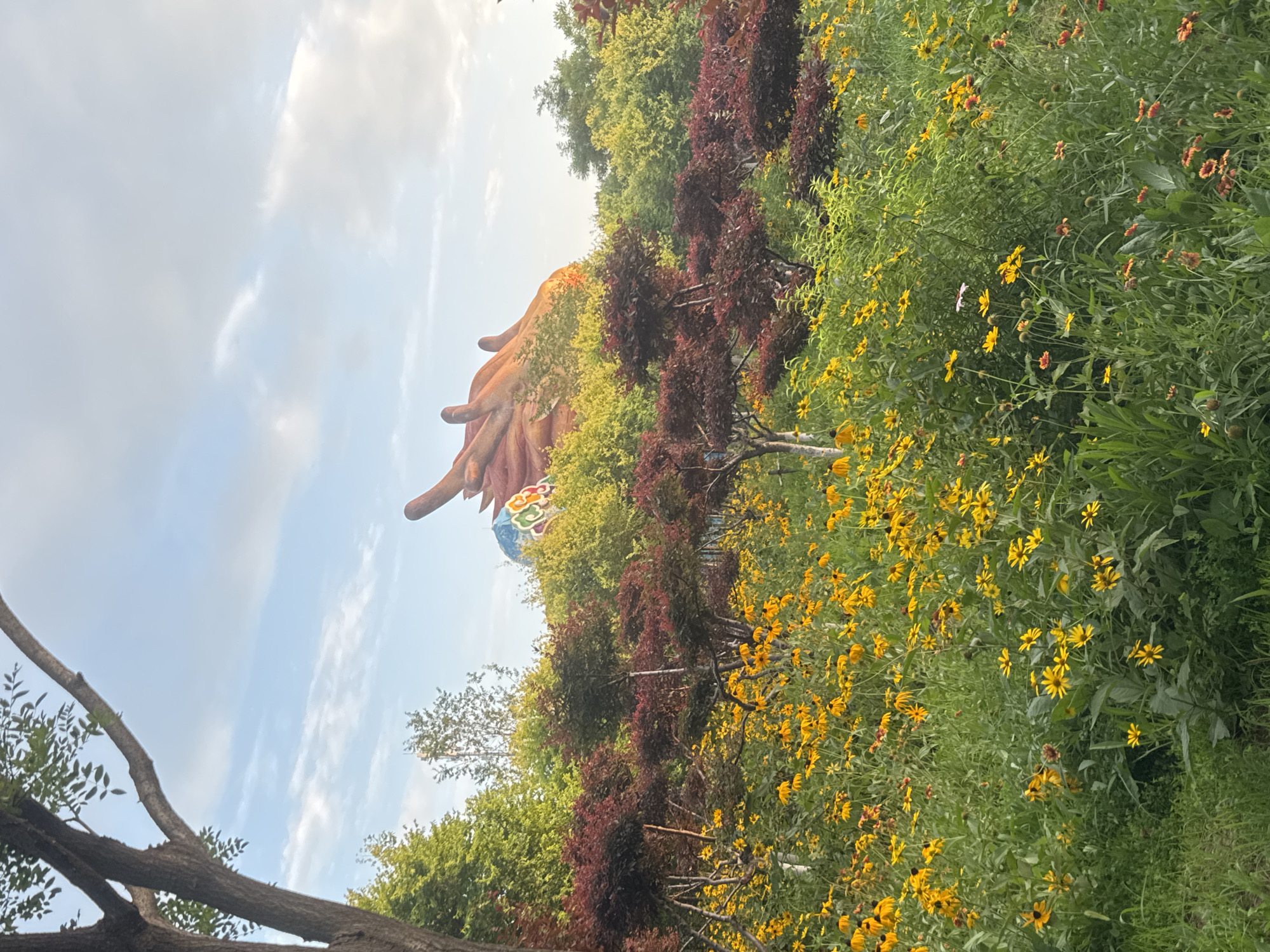 This image, taken in the city of Taihe District, China, showcases a vibrant natural scene dominated by a field of yellow flowers in full bloom. The flowers, likely Black-Eyed Susans, carpet the foreground, creating a dense, colorful tapestry interspersed with lush green foliage. Behind the flower field, a line of trees with dark red foliage stands out, adding a contrasting color and texture. Further in the background, a large, orange, sculptural element, possibly depicting dragon claws, is visible against a backdrop of green trees and a partly cloudy sky. The overall impression is of a picturesque park or garden area, with the striking sculpture adding a unique, artistic focal point to the natural landscape. The lighting suggests it is daytime, likely late afternoon or early morning, given the soft illumination. No people or animals are visible in the frame.