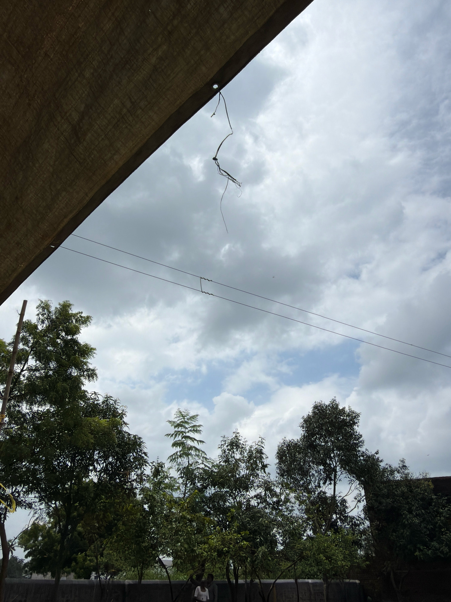 The image depicts an outdoor scene under a cloudy sky, with a large, textured, brown tarp or canopy dominating the upper left quadrant. The tarp is angled downwards and to the right, creating a partial frame for the sky. Suspended from the tarp are two thin, dark wires, one of which appears to have a thin, wispy organic element dangling from it. Below the tarp and wires, a line of lush green trees forms the lower portion of the image. The trees are varied in height and density, with some appearing to be mature and others younger. A thin, vertical wooden pole is visible on the far left, extending upwards amongst the trees. In the very bottom center of the frame, a person wearing a white garment is standing. The overall environment suggests a natural or semi-natural setting, possibly a garden or park area within Bodma, India, given the presence of the trees and the typical cloud formations. The lighting is diffused due to the cloudy conditions, casting soft shadows and creating a somewhat muted color palette.