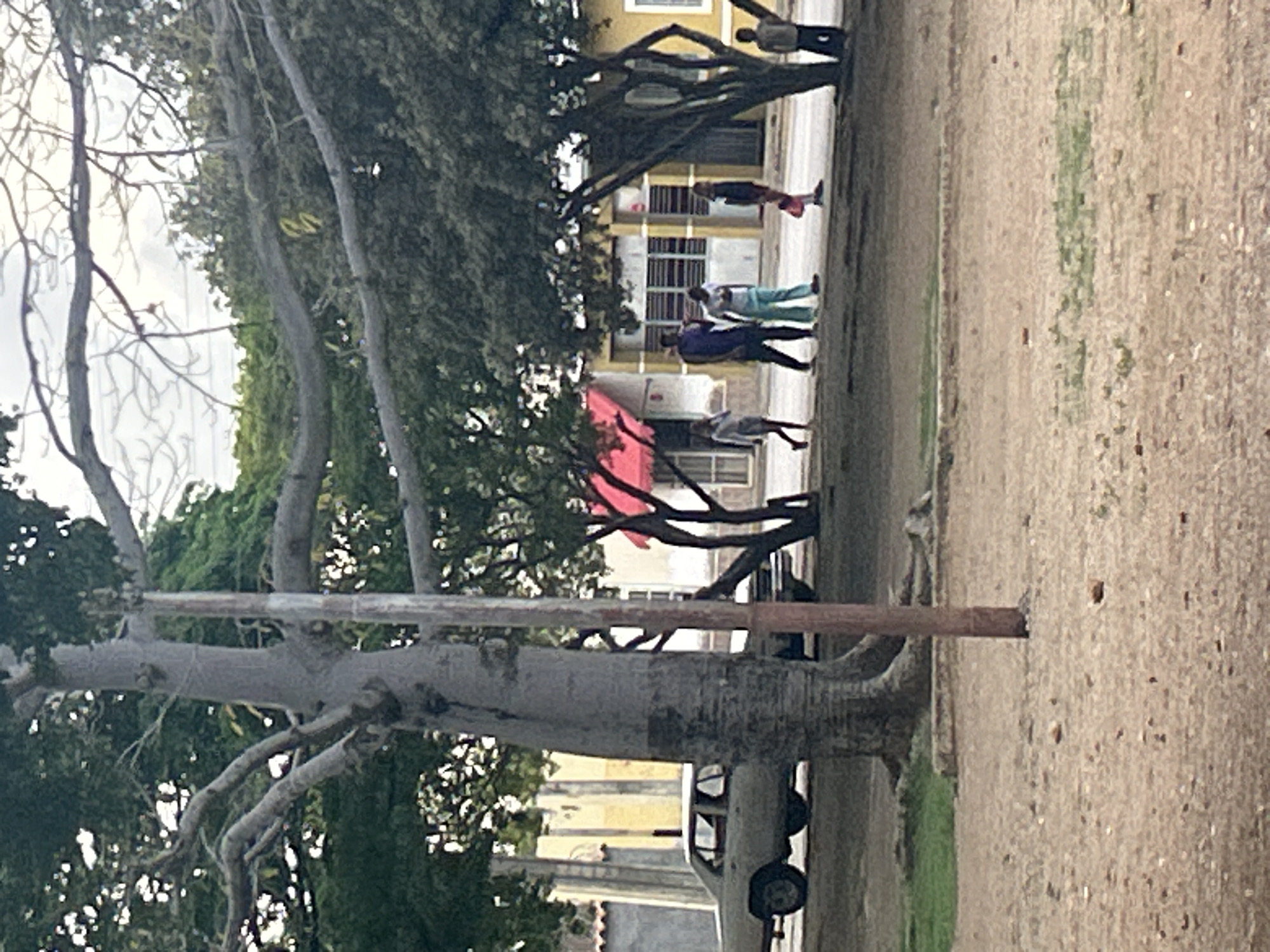 The image captures a street scene in Santa Ana, Venezuela, likely during daylight hours with overcast skies. A light-colored sedan is parked on the left side of the frame, partially obscured by a large tree with a thick, textured trunk. In the background, buildings with yellow and white facades are visible, some with red awnings. A group of five people are walking along the sidewalk in front of these buildings. From left to right, the individuals appear to be a young woman in a light-colored top and skirt, a man in a dark purple shirt and black pants, a person in a white t-shirt and light blue pants, a person in a dark top and red skirt, and a young boy in a light-colored shirt and dark pants standing near a tree on the right. The ground in the foreground is sandy and uneven, with sparse patches of grass. A wooden pole is positioned vertically in the center of the foreground. The overall impression is a quiet, possibly residential or commercial street with everyday activity.
