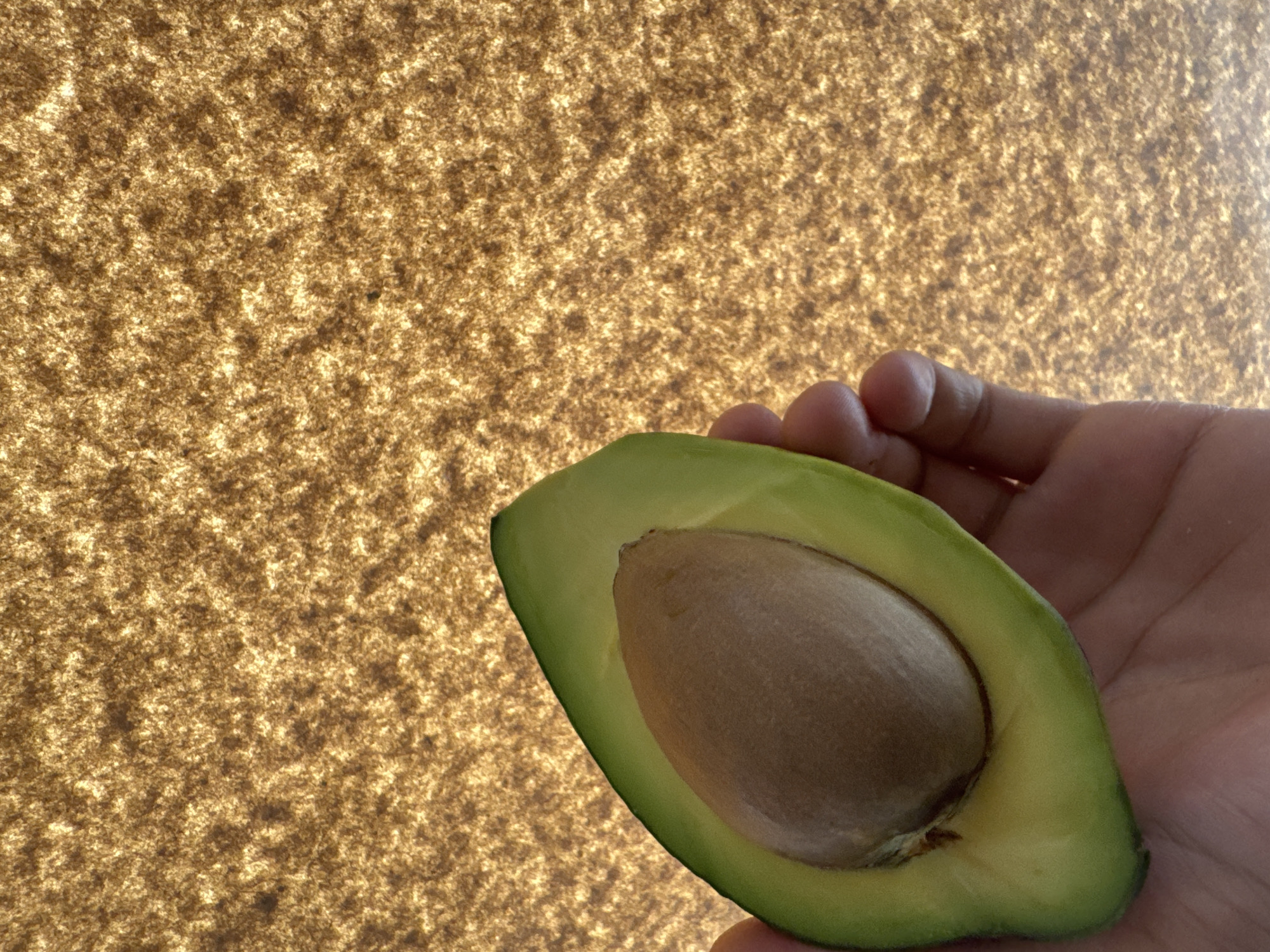 A hand is holding a halved avocado with a large brown pit against a textured, backlit background. The avocado is green with a smooth, glossy surface. The hand appears to be light-skinned. The background is illuminated with a warm, golden light, creating a mottled pattern of light and shadow. The scene is shot from a slightly elevated angle. There is no indication of the city of Zaokskiy, Russia.