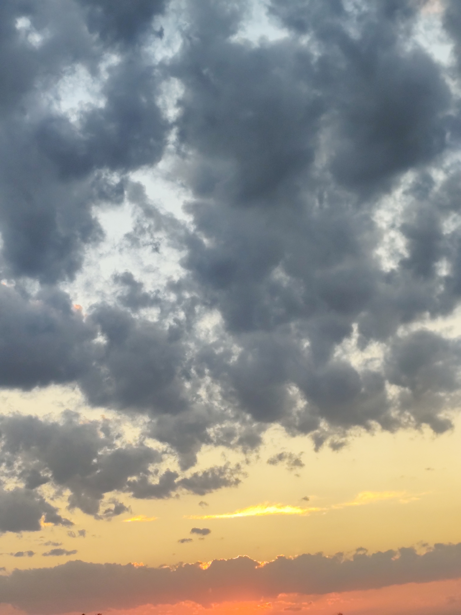 The image is a close-up, vertical, ground-level view of a cloudy sky at sunset, with no visible city of Zielona Góra, Poland, landmarks, people, or discernible objects. The upper portion of the frame is dominated by dark, heavy clouds, with lighter patches suggesting breaks in the cloud cover and possibly sunlight filtering through. The lower portion of the image transitions into a gradient of warm sunset colors, with hues of yellow and orange near the horizon, overlaid by lighter clouds tinged with pink and orange. The scene depicts a dramatic sky formation, indicative of an approaching storm or the aftermath of one, set against the backdrop of a sunset.