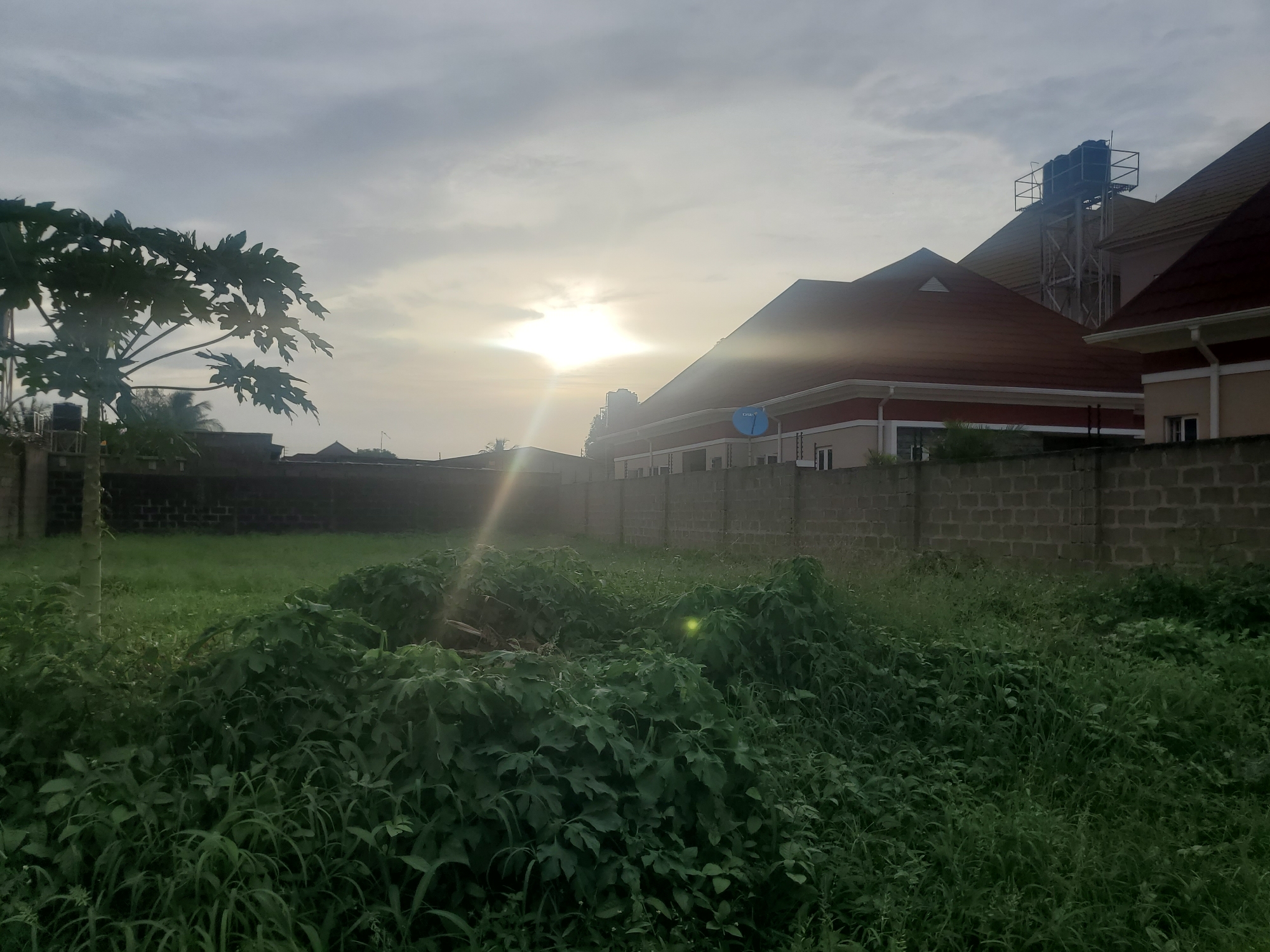 The image captures a suburban or semi-rural scene under an overcast sky with the sun attempting to break through, casting a bright glare. In the foreground, dense, overgrown green vegetation dominates the lower half of the frame. Beyond this, a low, dark brick wall runs horizontally across the mid-ground, separating the overgrown area from a more manicured grassy space. Further back, a residential building with a prominent red-tiled roof and light-colored walls is visible. To the left of this building, a tall metal structure supporting a large blue water tank is mounted on the roof. The building appears to be a modern dwelling with multiple windows and a satellite dish mounted on its side. The environment suggests a location in a city like Barden Yana, Nigeria, characterized by the presence of residential architecture and the lush, verdant vegetation typical of the region. There are no people or animals visible in the image.