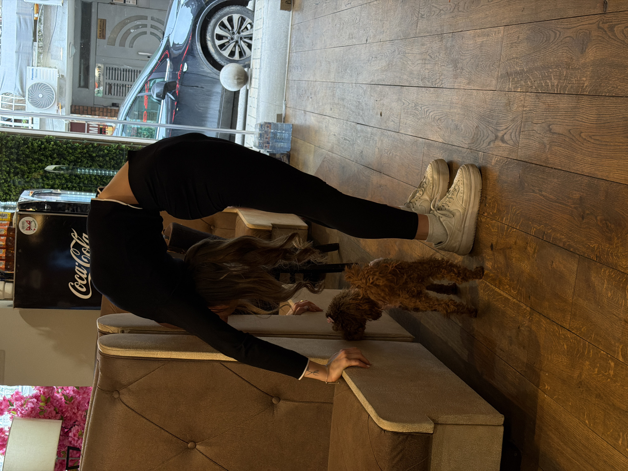 A woman in black pants and a long-sleeved shirt is bending over backward in an interior space, with her hands resting on a brown couch and her feet wearing white sneakers on a wooden floor. Her hair is falling forward. A small brown poodle is near her feet. Through the window, a black car is visible, along with a building labeled "ул. Дойран 12В", which indicates the location is in Sofia, Bulgaria. A Coca-Cola branded cooler and pink flowers are also visible.