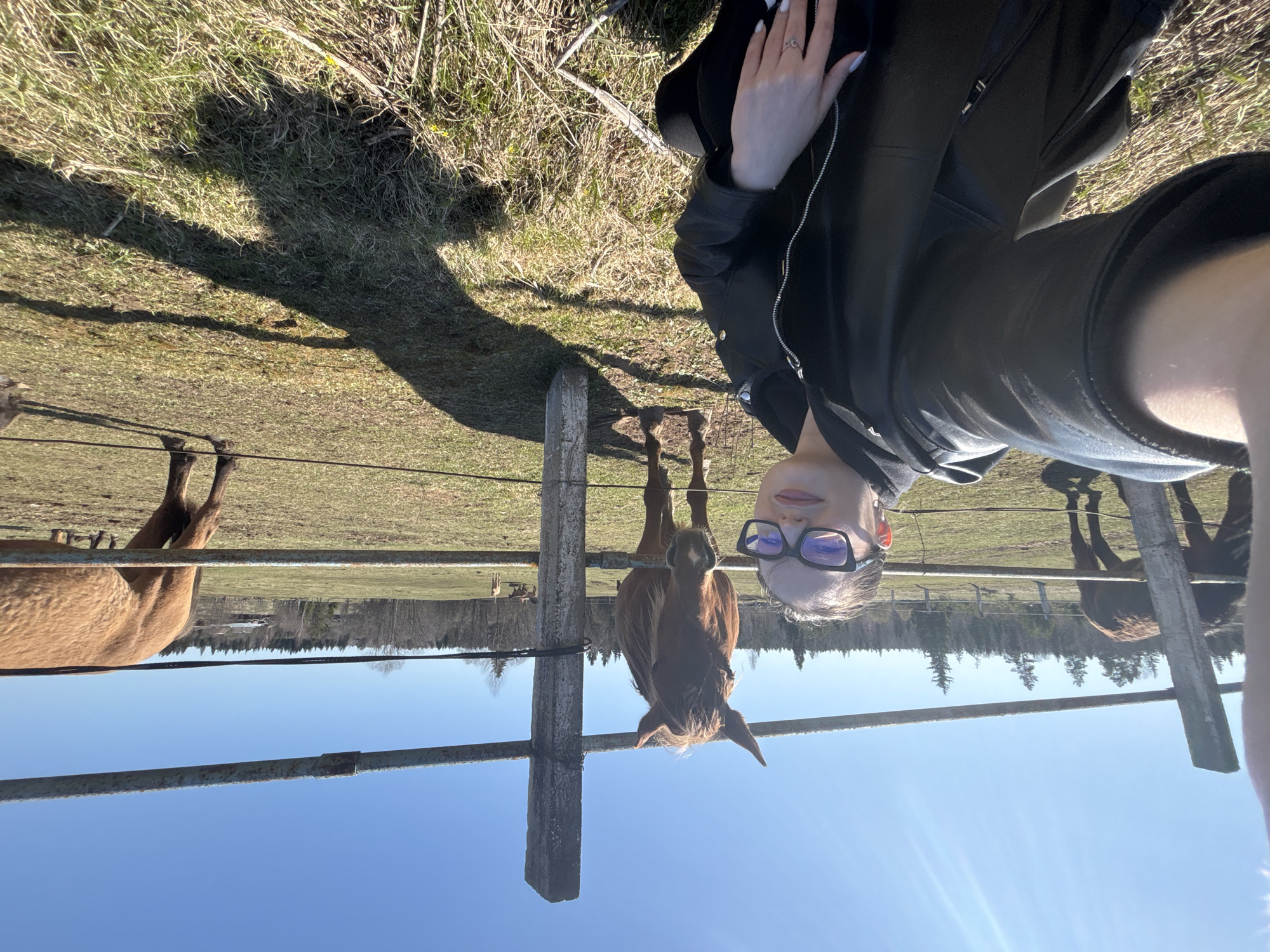 A selfie image shows a fair-skinned person with glasses and dark hair wearing a black jacket, partially visible, standing in a rural landscape. They are in front of a wooden fence with wire. A brown horse is directly in front of the fence post, and other horses are grazing in the field behind the fence. The scene is set against a backdrop of trees and a clear blue sky. The image is taken during daylight with sunlight present. The location is speculated to be Opary, Russia.