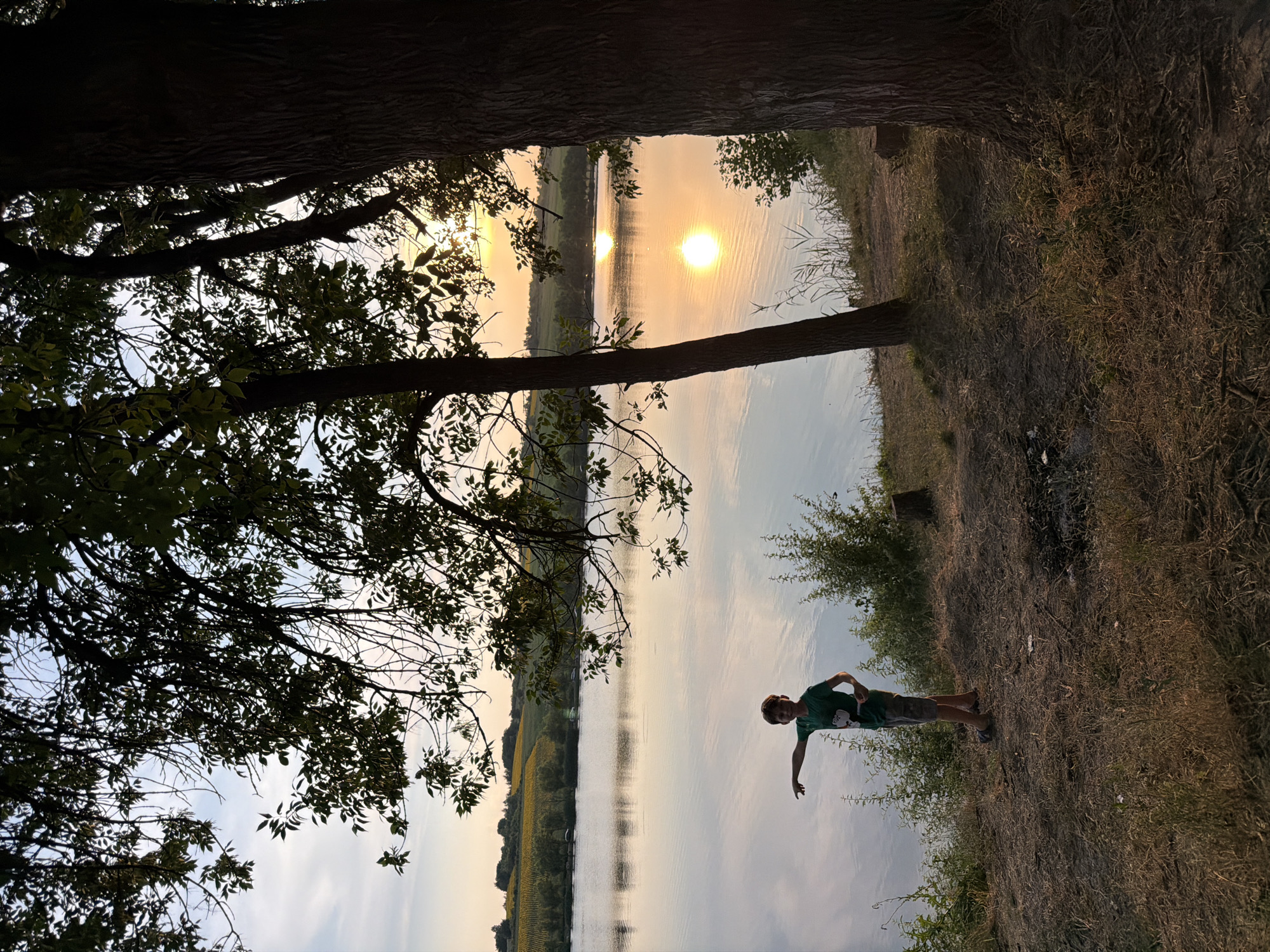 In Găleștii Noi, Moldova, a young boy stands on the grassy bank of a tranquil lake at sunset. He is wearing a green t-shirt and patterned shorts, with his left arm extended as if pointing towards the water. The sun, a brilliant orb, casts a golden reflection on the calm surface of the lake, creating a shimmering path of light. Tall trees with dark bark frame the scene on the right and loom overhead, their leaves silhouetted against the twilight sky. In the distance, rolling hills are visible, dotted with fields of yellow sunflowers. The overall atmosphere is peaceful, bathed in the warm hues of the setting sun.
