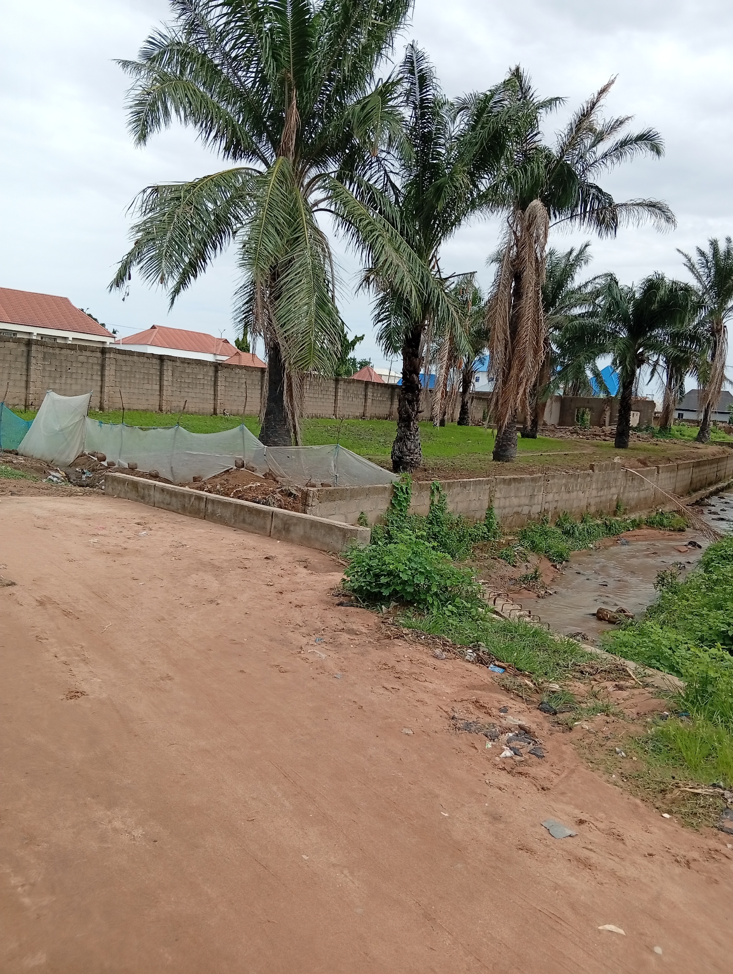 The image depicts an outdoor scene in Jalingo, Nigeria. The foreground is a dirt road. In the middle ground, there is a concrete barrier bordering a small, murky stream with some debris visible in and around it. Lush green vegetation grows along the banks of the stream. Behind the stream, a concrete wall runs along the property line. Several palm trees, some with dry fronds, are scattered throughout the scene, with some showing signs of stress or decay. Beyond the wall, there are buildings with red tile roofs and some under construction or in disrepair, including a structure with visible openings where windows or doors would be. The sky is overcast with clouds, suggesting it might be a cloudy day or nearing dusk. There is no clear activity taking place, and the scene appears to be a residential or developing area. No people are visible in the image.