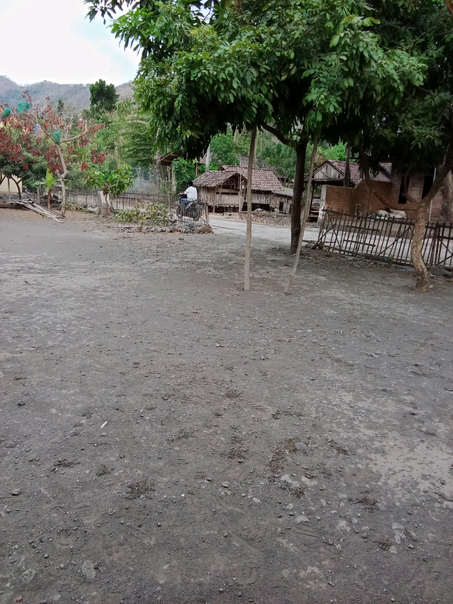 The image depicts a rural outdoor scene in Trebungan, Indonesia. In the foreground, a dirt ground is visible with scattered pebbles and dry vegetation. Several trees with lush green foliage are scattered throughout the scene, with some thin tree trunks reaching towards the sky. In the middle ground, a person is seen riding a motorcycle. Behind the motorcycle rider, there is a simple wooden fence. Further in the background, there are several rustic structures with tiled roofs, suggesting a small village or settlement. A hill covered in greenery can be seen in the far background, under a slightly overcast sky. The overall impression is of a simple, rural Indonesian village.