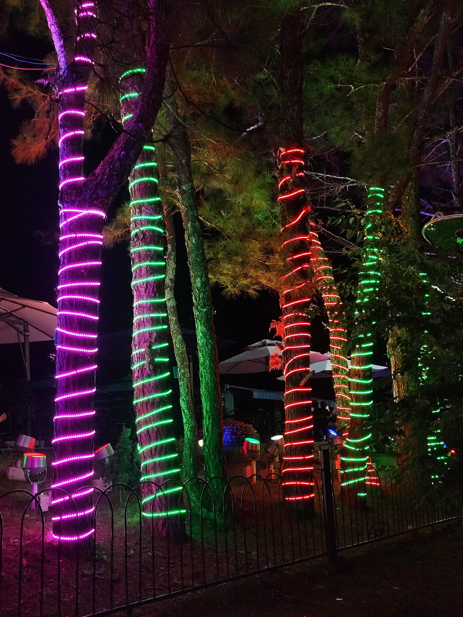 The scene depicts a nighttime setting in Da Lat, Vietnam, with several trees adorned with colored LED lights. The trees are wrapped with purple, green, and red lights, creating a festive and vibrant atmosphere. The trees stand behind a low black metal fence. In the background, there are glimpses of what appears to be an outdoor dining or entertainment area, with tables, umbrellas, and other illuminated objects. The sky is dark, suggesting it is late evening or night. There are ground level spotlights as well.