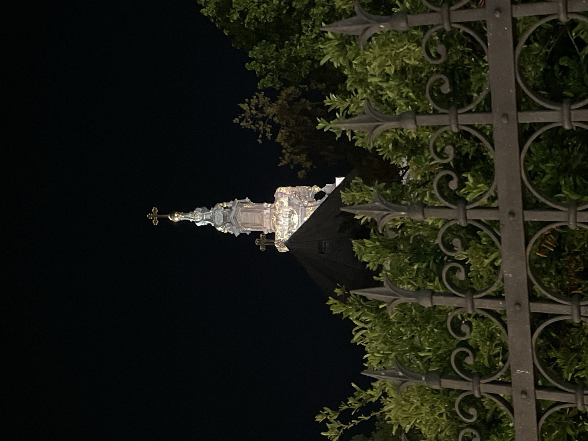 A low-angle night shot shows the ornate spire of the Name of Mary Church in Novi Sad, Serbia. The spire is illuminated and towers into a dark sky. Parts of a dark, wrought-iron fence and green foliage are visible in the foreground, partially obscuring the view of the church. The scene is devoid of people.