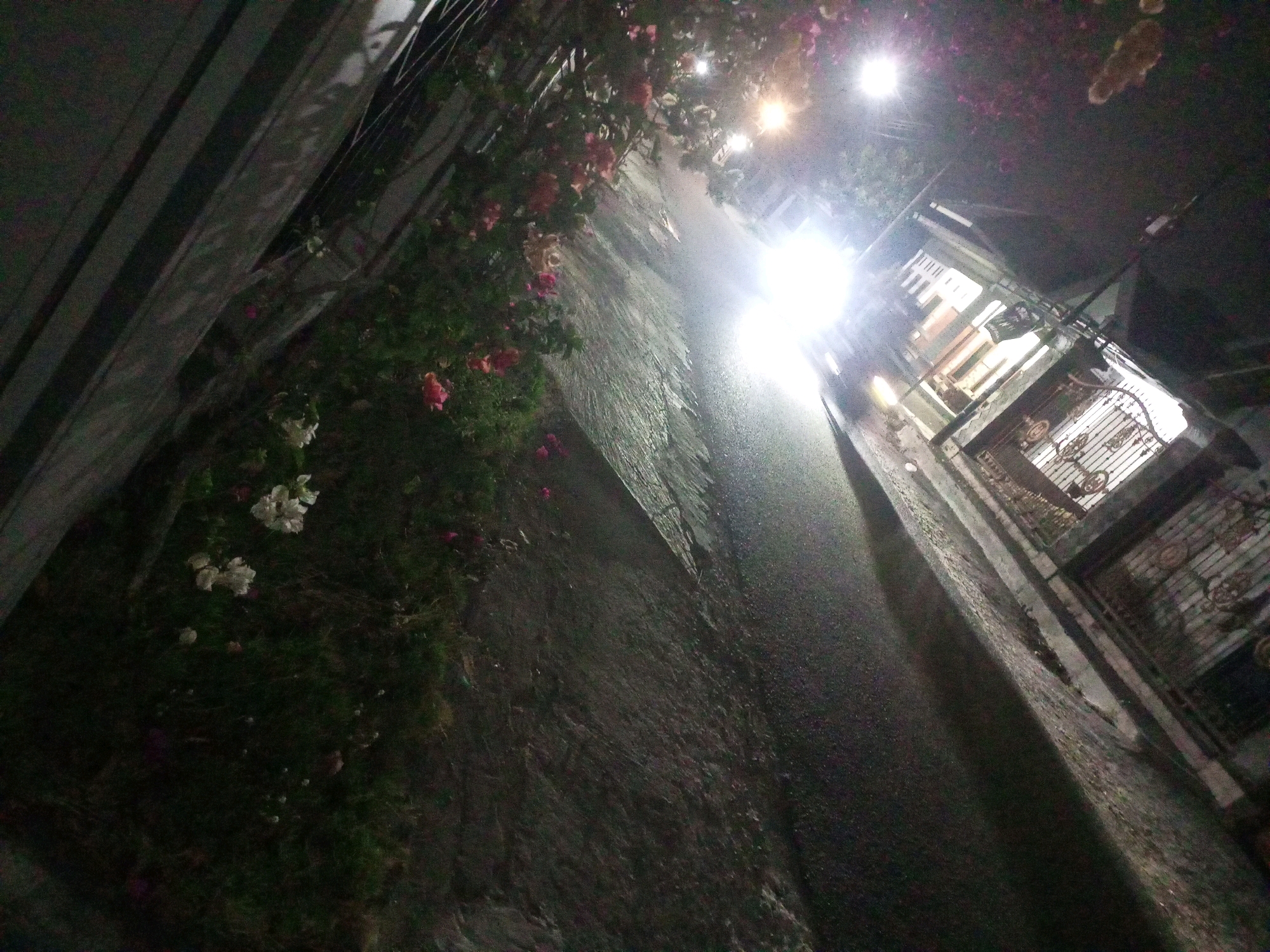 The image depicts a narrow street at night, likely in the city of Ngasem, Indonesia, with artificial lighting casting bright flares. On the left side, a textured wall or building facade is visible, adorned with a dense growth of green foliage and pink and white flowers, possibly bougainvillea or jasmine, cascading downwards. The street itself appears wet or slick, reflecting the overhead lights. To the right, there is a building with illuminated windows and decorative wrought-iron gates, suggesting a residential or commercial property. The overall impression is of a dimly lit, humid, and somewhat overgrown urban alleyway, possibly capturing a moment of transient beauty amidst the night.