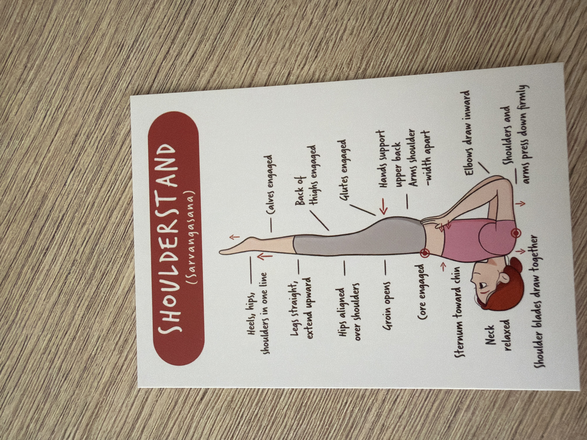 The image is a diagram illustrating the yoga pose "Shoulderstand (Sarvangasana)". The diagram depicts a stylized figure performing the pose, with various parts of the body labeled with instructions and descriptions of engagement. On the left side of the figure, labels indicate "Heels, hips, shoulders in one line", "Legs straight, extend upward", "Hips aligned over shoulders", "Groin opens", "Core engaged", "Sternum toward chin", "Neck relaxed", and "Shoulder blades draw together". On the right side, labels include "Calves engaged", "Back of thighs engaged", "Glutes engaged", "Hands support upper back", "Arms shoulder-width apart", "Elbows draw inward", and "Shoulders and arms press down firmly". The diagram is presented on a white card with a red border at the top containing the title of the pose. The card is placed on a wooden surface with a visible grain pattern. There is no depiction or mention of Pazardzhik, Bulgaria, or any urban environment.