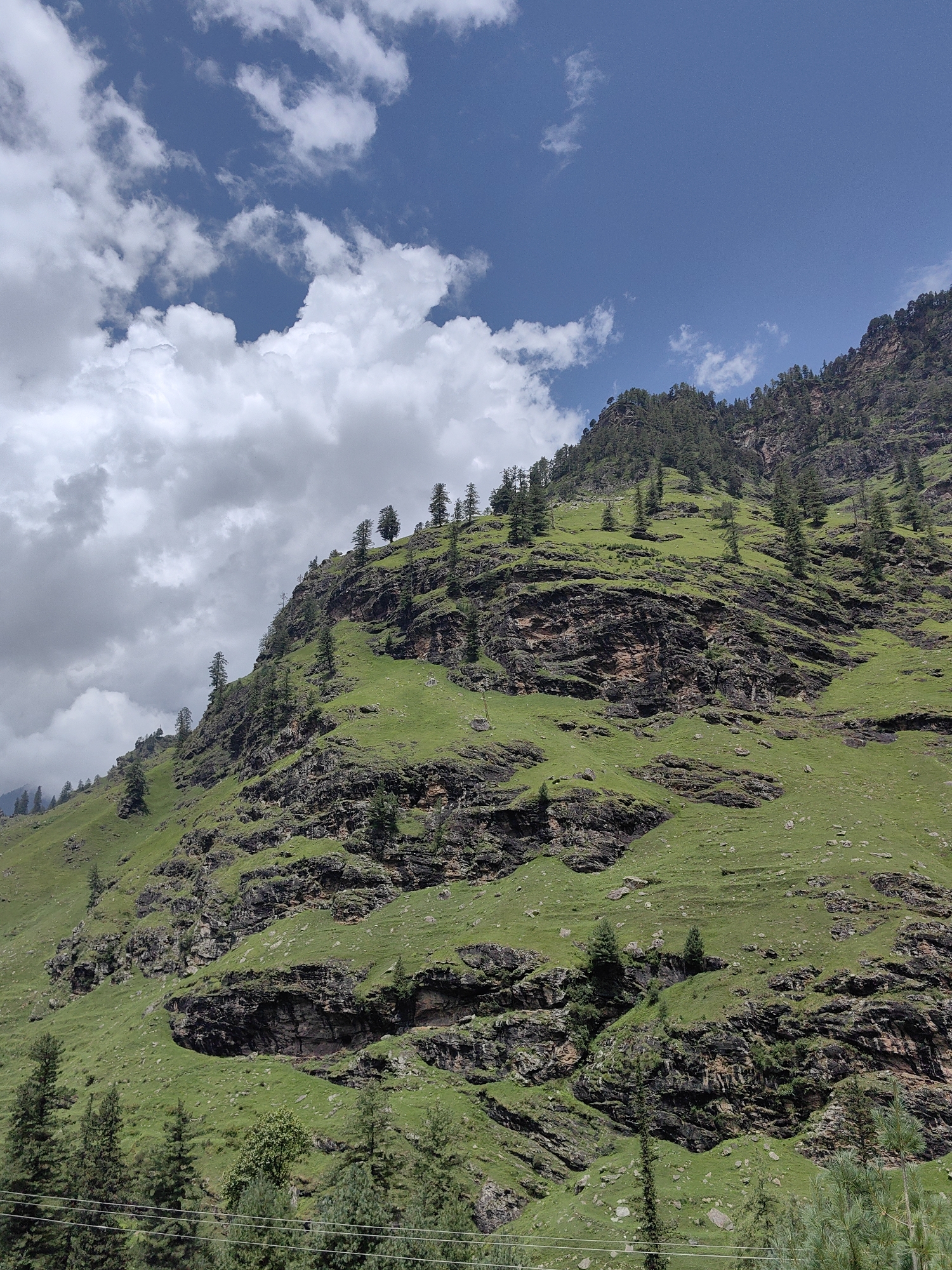 The image depicts a verdant, rocky mountainside under a bright blue sky dotted with fluffy white clouds. The mountain is covered in lush green grass and sparse evergreen trees, with exposed sections of dark rock formations. The terrain appears steep and uneven, with visible layers of rock and soil. In the foreground, a dense line of evergreen trees partially obscures the base of the mountain, and thin wires stretch horizontally across the lower portion of the frame, suggesting the presence of power lines or a similar infrastructure. The scene is natural and serene, with no people or animals visible. The location is identified as Kothi, India.