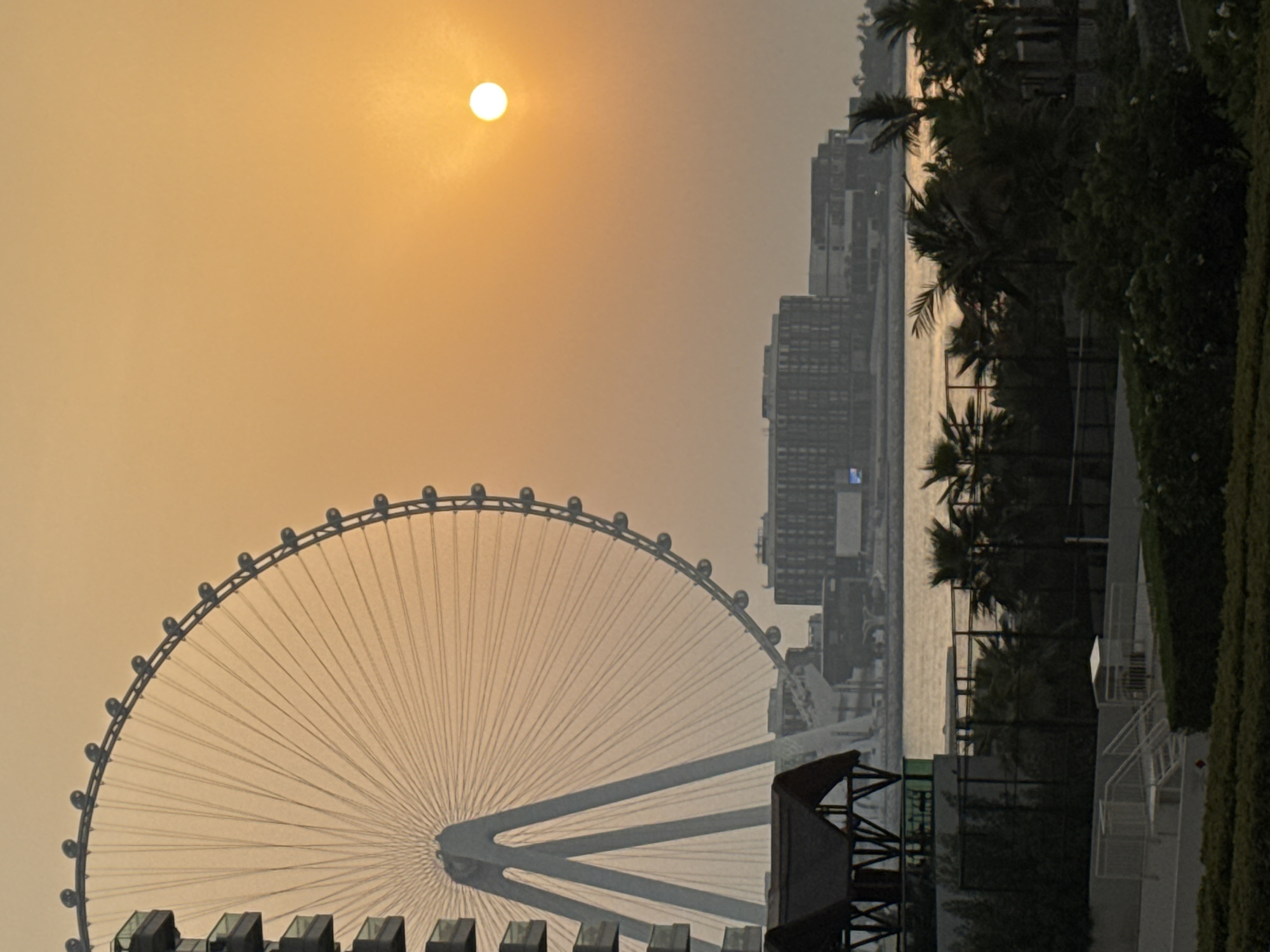 This vertical, medium shot captures a sunset scene in Dubai, United Arab Emirates, with the Ain Dubai observation wheel dominating the left half of the frame. The Ain Dubai, a colossal Ferris wheel with numerous gondolas, is a stark white structure against the warm orange hues of the setting sun. To the left of the wheel, a portion of a tall, modern building with dark balconies is visible. In the mid-ground, across a body of water, a cluster of large, dark buildings with visible windows form a cityscape. The foreground features a lush green landscape with palm trees and dense shrubbery, and a dark, peaked structure, possibly a gazebo or pavilion. The sky is a gradient of orange and yellow, with the sun appearing as a bright, distinct circle on the right side. The scene is generally calm and still, with no discernible people or animals. The overall impression is one of urban beauty against a natural, sunset backdrop.