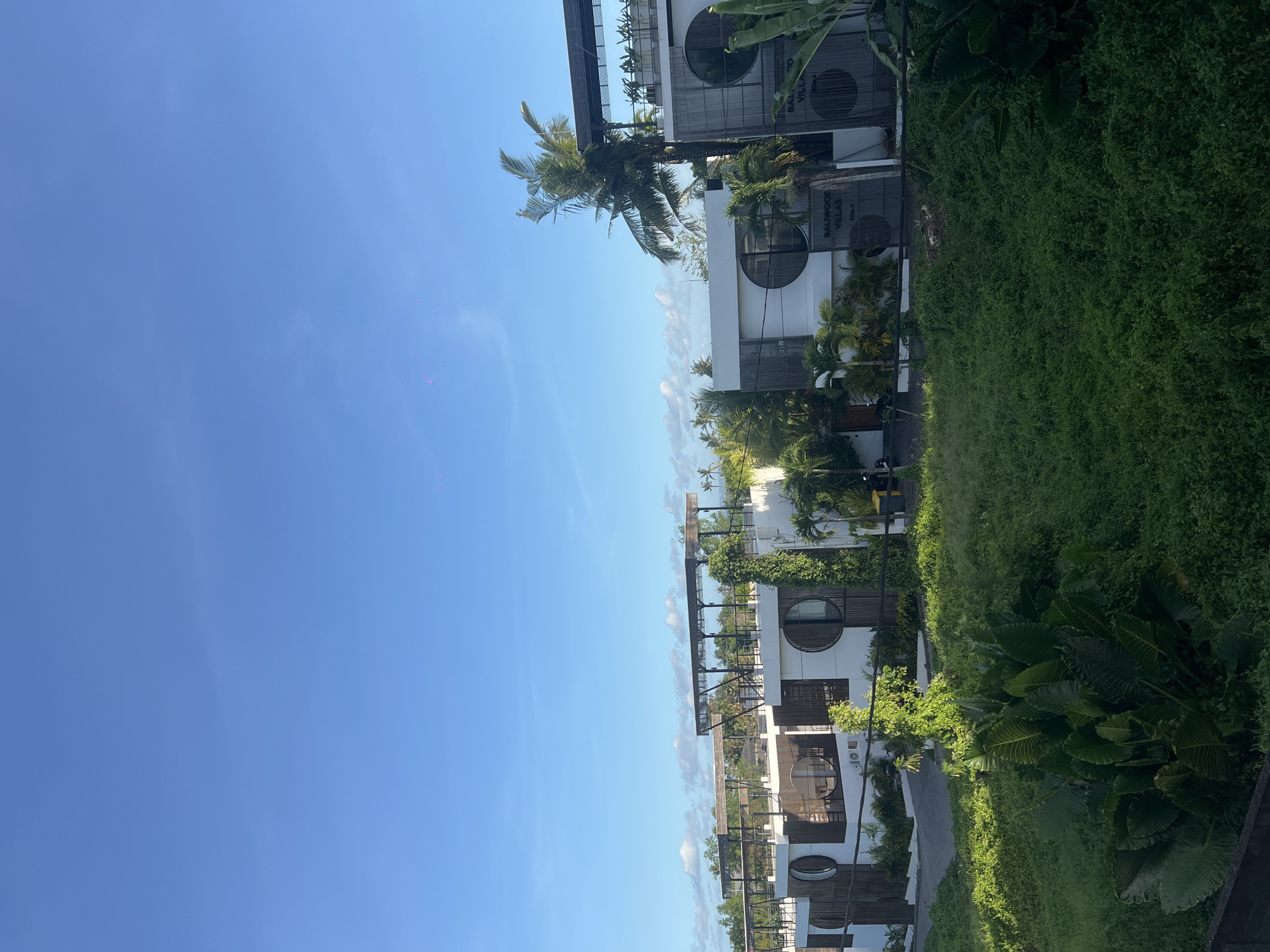 The image shows a low-angle, right-oriented view of a row of modern, multi-story buildings with white facades and distinctive circular window designs, likely located in Mengwi, Indonesia. The buildings are partially obscured by dense green vegetation, including various types of tropical plants and trees, suggesting a tropical or subtropical environment. A clear blue sky occupies a significant portion of the image, contrasting with the green foliage and white buildings. The buildings appear to have open rooftop terraces or balconies with metal railings, indicating outdoor living spaces. The scene is captured in daylight with bright sunlight. There are no visible people or animals in the image.