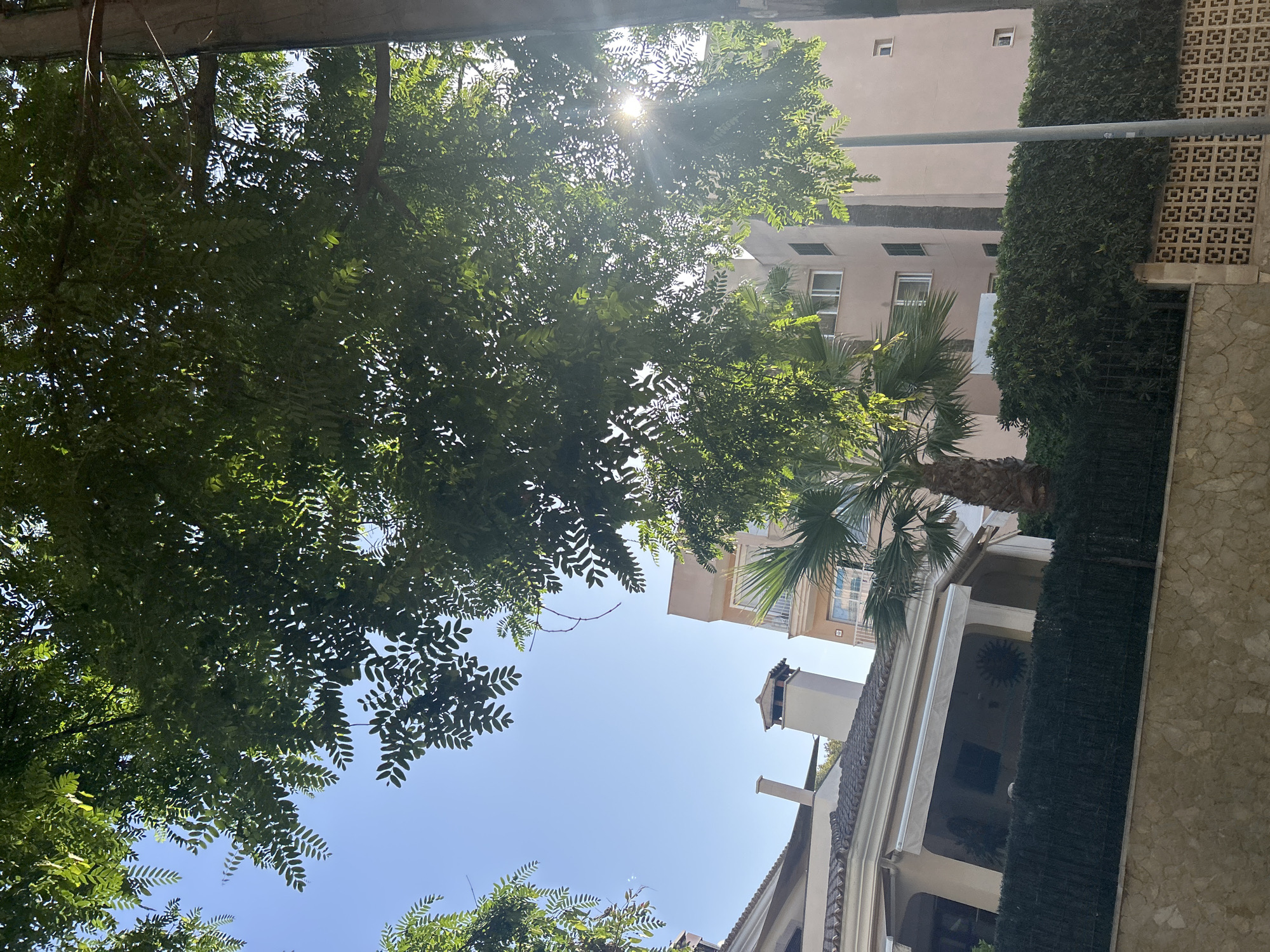 The image, taken in Cala Rajada, Spain, captures a sunlit outdoor scene with lush green foliage dominating the foreground and mid-ground. The sky is a clear, bright blue, with the sun's rays filtering through the leaves, creating a dappled effect and lens flare.
In the background, several buildings are visible. To the left, a multi-story building with a tiled roof and awnings is partially obscured by trees. Adjacent to it, a tall, rectangular chimney extends from the roofline. To the right of the chimney, a taller, lighter-colored building with multiple windows and balconies rises, with a palm tree in front of it. Further to the right, another light-colored building with a few visible windows is seen.
A dark green hedge runs across the mid-ground, forming a boundary between the buildings and the foreground. Below the hedge, a textured wall made of light-colored stones is visible, and further down, a decorative patterned concrete wall runs along the bottom of the frame. A lamppost stands on the right side of the image, near the edge of the frame. There are no people or animals visible in the image. The scene suggests a residential or possibly commercial area, characterized by a mix of vegetation and architecture.