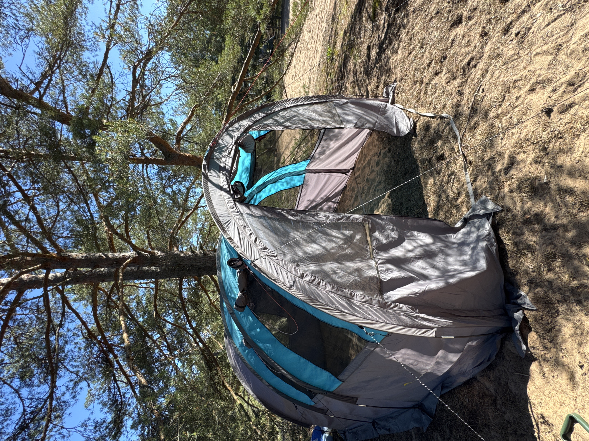 An unpitched tent is set up on a sandy, pine-forested area in Ozerki (Krasnodolinskaya), Russia. The tent is predominantly gray with turquoise accents on its upper sections. It is a dome-style tent with multiple entrances and mesh windows. The tent appears to be in a partially assembled state, with some fabric lying on the ground. The surrounding environment consists of tall pine trees with visible branches and needles, casting shadows on the sandy ground. The sky is a clear blue. The ground is covered in sand, pine needles, and dry grass. There are no people visible in the image.